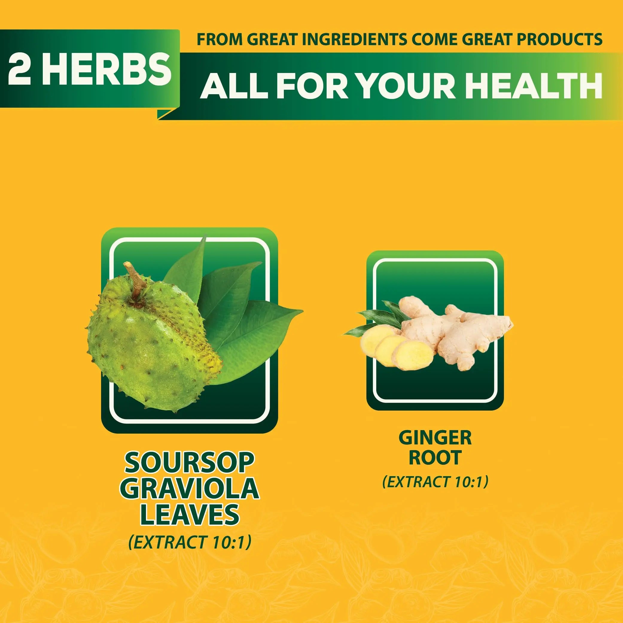 DEDICAD Soursop Leaves Tea Bags with Ginger, 30 Tea bags, 2gr/bag - Non-GMO/Caffeine free - Support Digestion, Well Skin, Immune System DEDICAD Au supplements