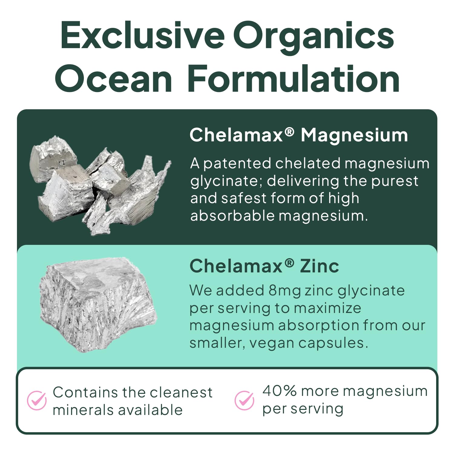 Organics Ocean Pure Magnesium Glycinate with Zinc - Maximum Strength Chelated Magnesium Supplement for Women and Men for Muscle Cramps and Sleep Support - 3 Bottles Organics Ocean Au supplements