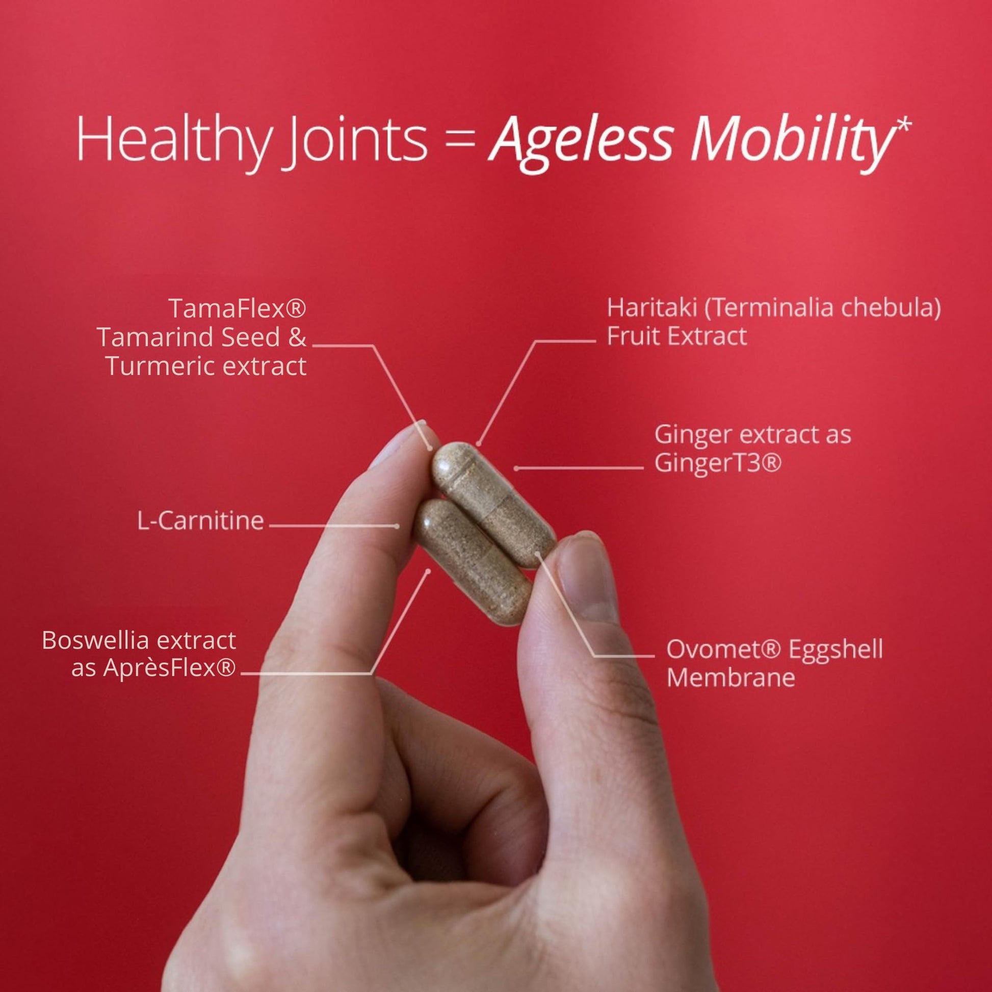 Qualia Joint Health 9 Advanced Joint Health nutrients: denatured Collagen, boswellia, tumeric, Boron, Ginger, L-carnitine. Cartilage Health, Tendon Strength, Healthy Joint Aging (1 Month Supply) QUALIA LIFE SCIENCES Au supplements