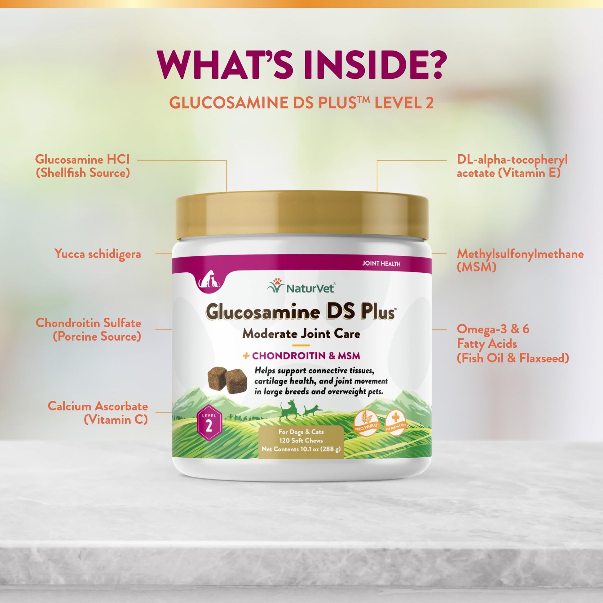 NaturVet – Glucosamine DS Plus - Level 2 Moderate Care – Supports Healthy Hip & Joint Function – Enhanced with Glucosamine, MSM & Chondroitin – for Dogs & Cats–120 Soft Chews NaturVet Au supplements