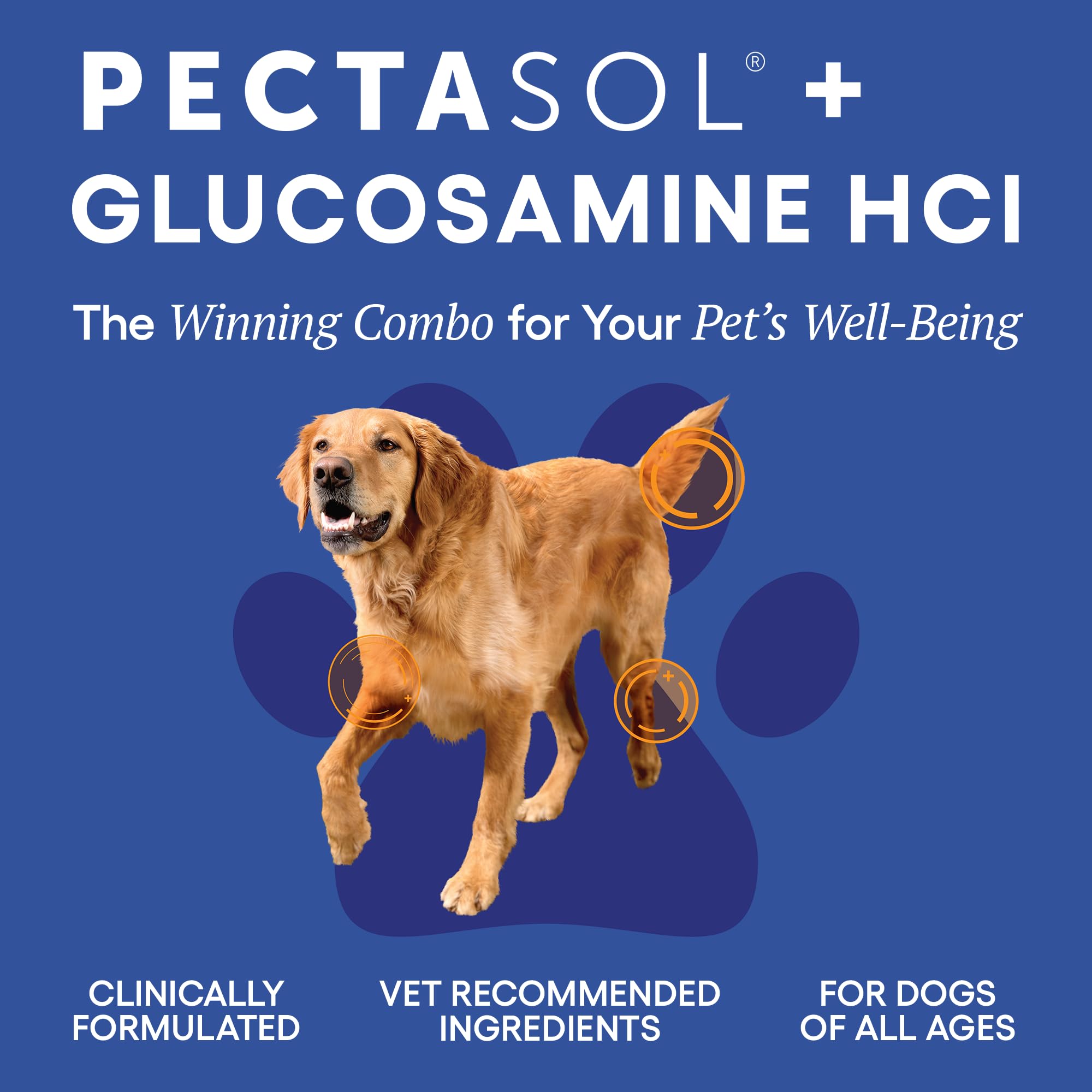 ecoNugenics PectaPaws Chewable Dog Supplements – Beef Flavor, 90 Count – PectaSol Modified Citrus Pectin + Glucosamine HCI for Dogs of All Ages, Supports Mobility, Joints, Immune Function, Pain Relief EcoNugenics Au supplements