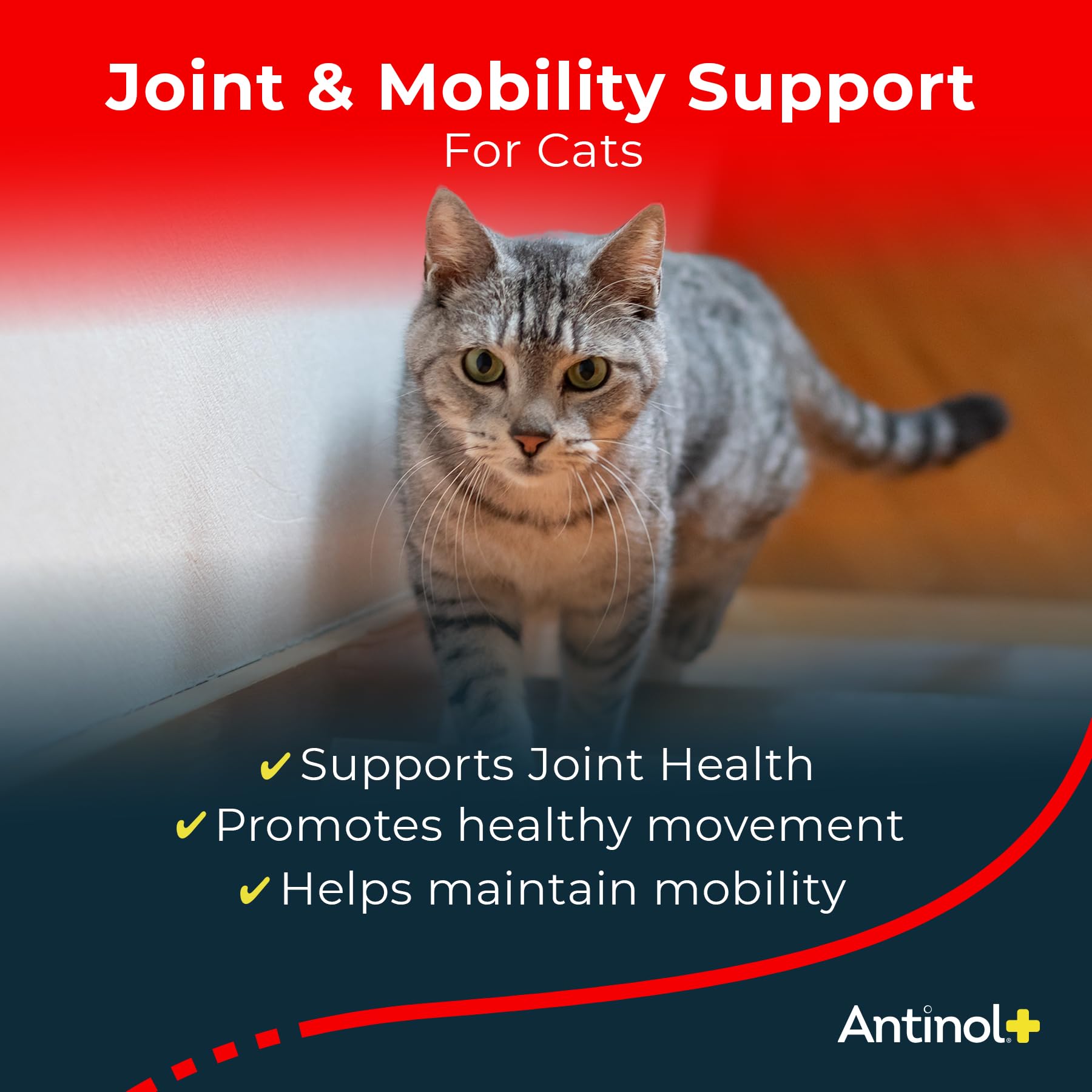 Antinol Plus, Mobility, Hip, and Joint Supplement for Cats, Green-Lipped Mussels and Krill Oil - Cat Joint Supplement, 60 Soft Gels Antinol Au supplements