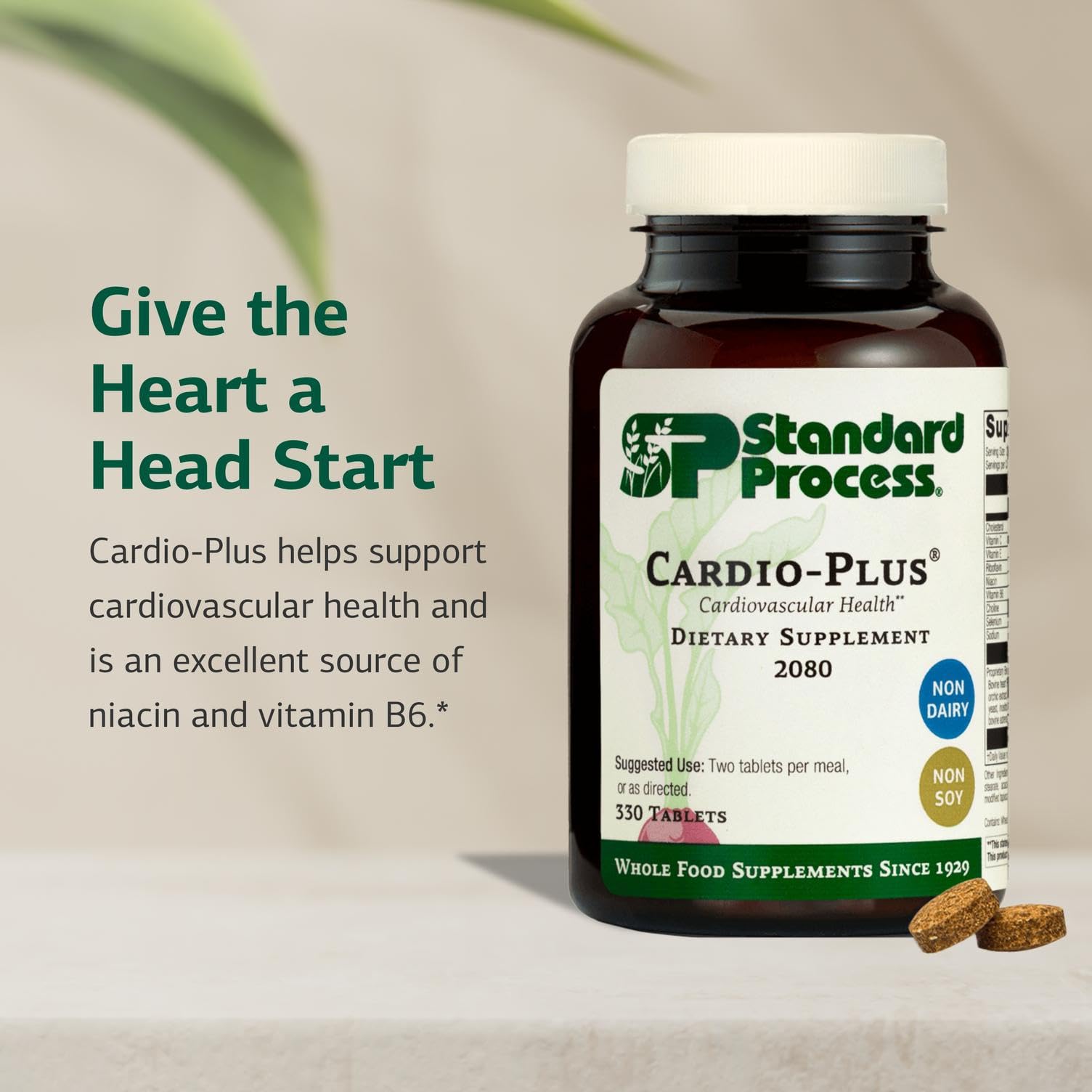 Standard Process Inc. Cardio-Plus - Antioxidant Support - Heart Health, Circulation & Blood Flow Supplement with Vitamin B6, Niacin & Riboflavin - Energy Metabolism Supplement - 330 Tablets Standard Process Inc. Au supplements