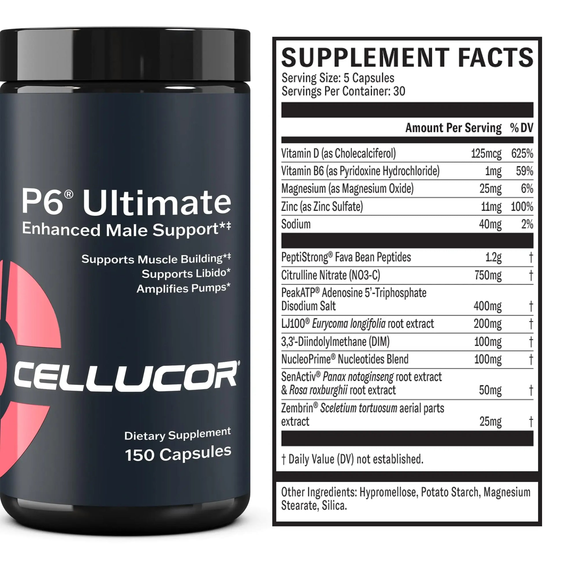 Cellucor P6 Ultimate - Enhanced Support for Men | Supports Muscle Growth & Strength Cellucor Au supplements