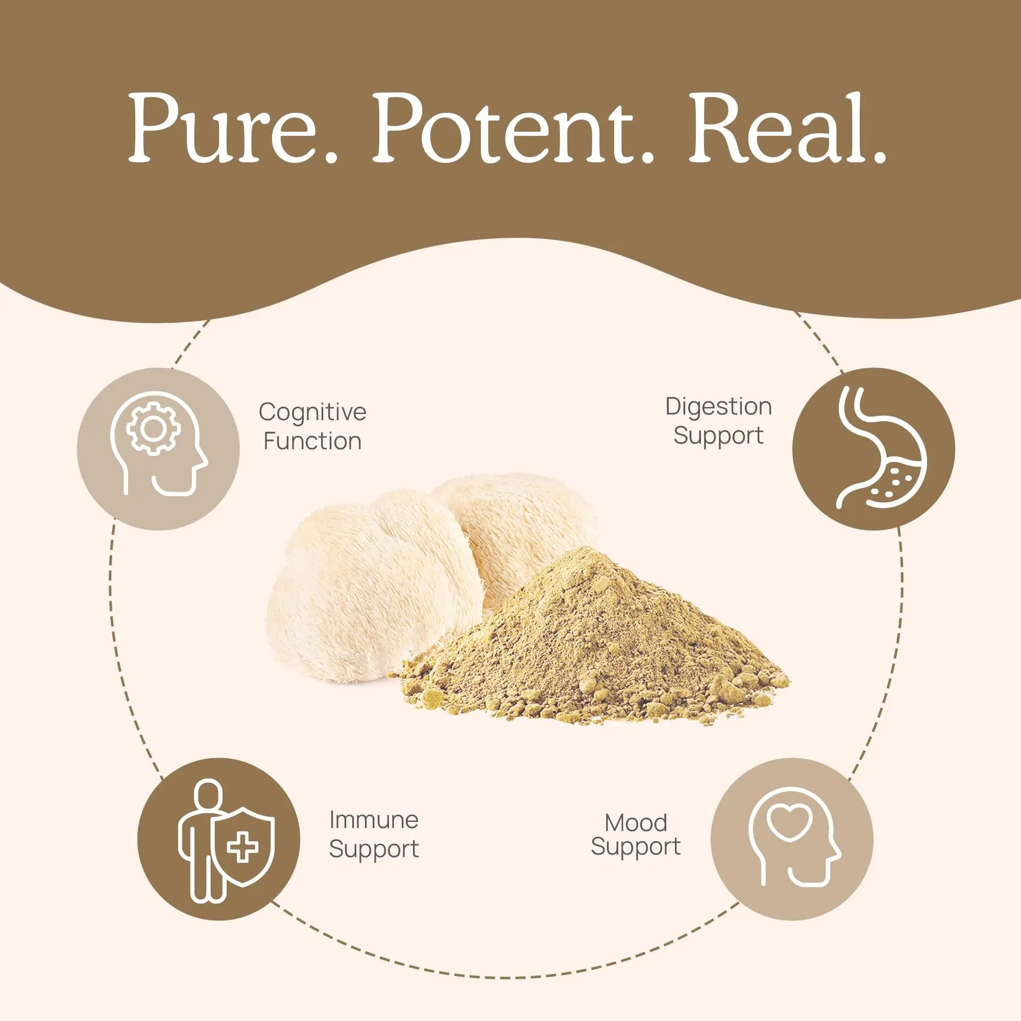 Real Mushrooms Lion’s Mane Capsules - Organic Lions Mane Mushroom Extract Real Mushrooms Au supplements