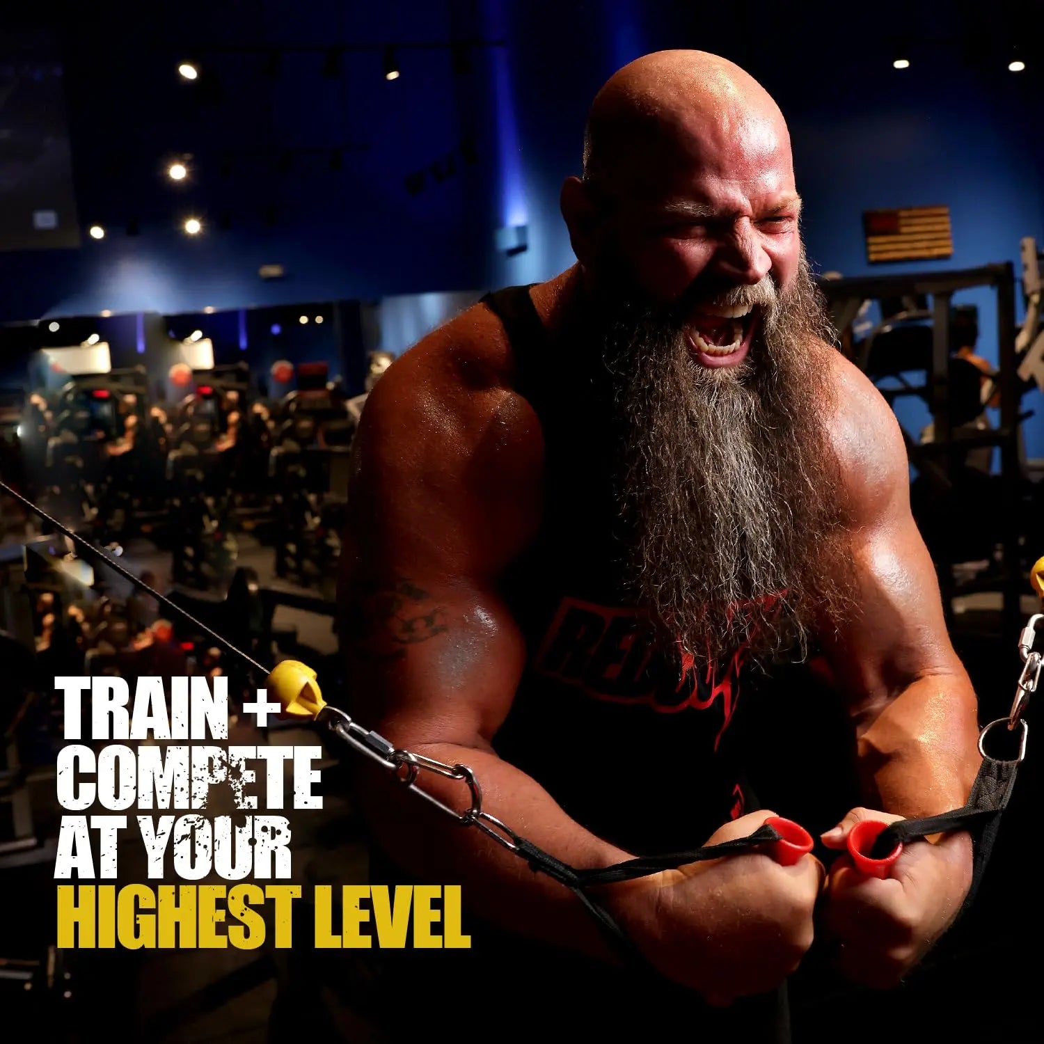 REDCON1 Total War Pre Workout - L Citrulline, Malic Acid, Green Tea Leaf Extract for Pump REDCON1 Au supplements