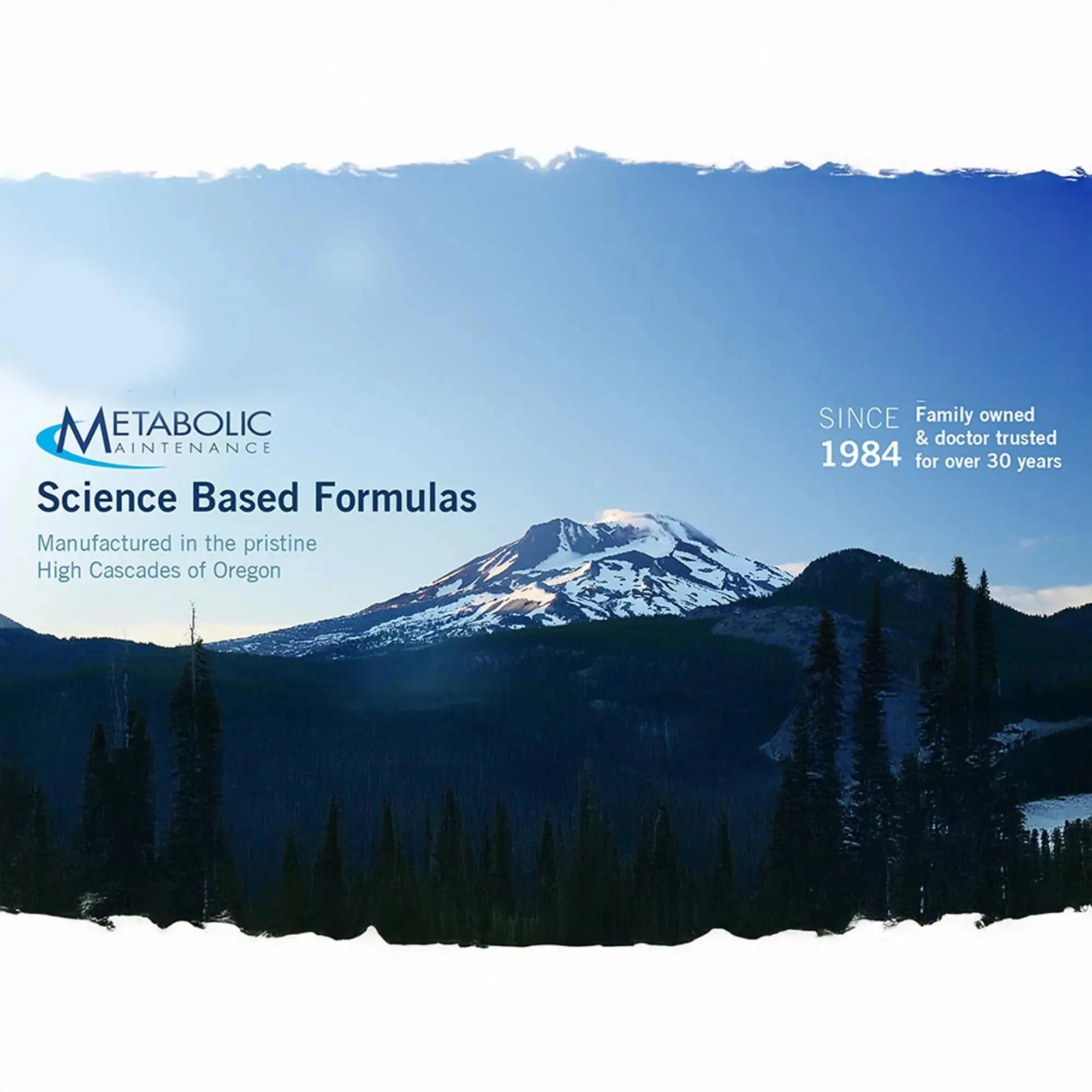 Metabolic Maintenance FemOne - Women's Multivitamin with Bioavailable Iron, Active Folate, B12, Antioxidants, Vitamin D + Biotin Metabolic Maintenance Au supplements