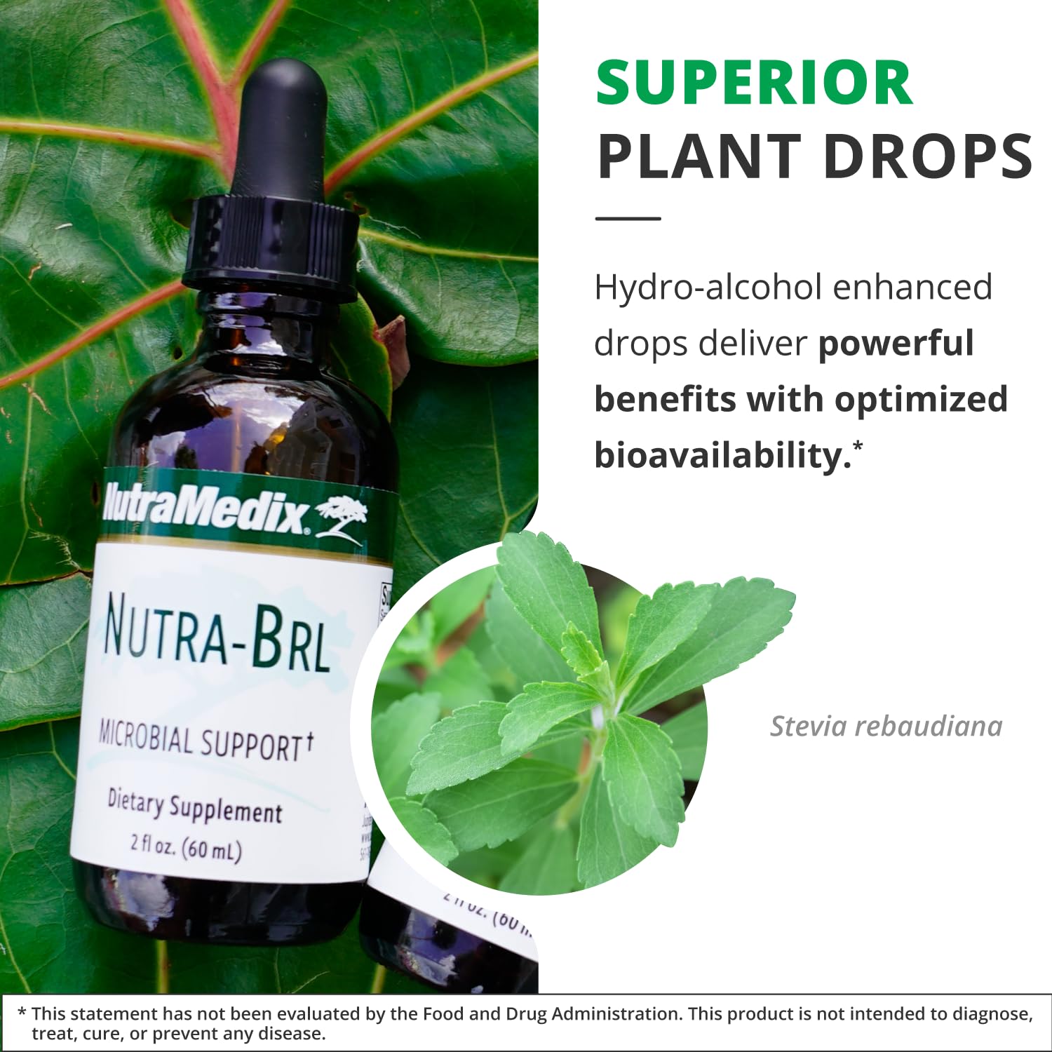 Nutramedix Nutra BRL - Liquid Herbal Supplement for Gut Health & Immune Support - Samento & Banderol for Digestive Health - Immune System Booster Supplement (60mL) NutraMedix Au supplements