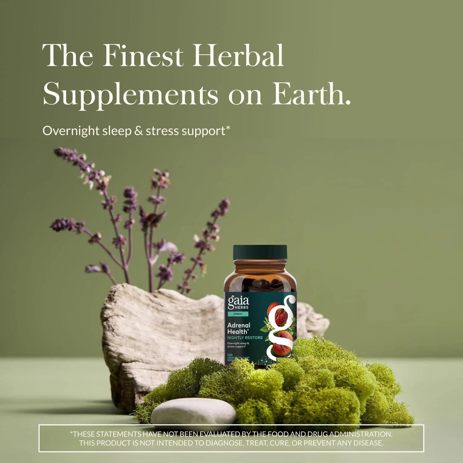Gaia Herbs Adrenal Health Daily Support, Help Maintain Healthy Energy & Stress Levels*,120 Liquid Phyto-Caps Adrenal Health Nightly Restore, 120 Liquid Phyto-Caps - Bundle Gaia Herbs Au supplements