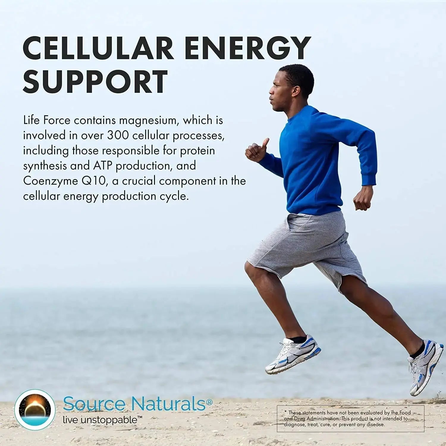 Source Naturals Men's Life Force Multiple Daily Multivitamin & Immune Health Supplement - 13 Essential Vitamins, Nutrients & Minerals - 180 Tablets Source Naturals Au supplements