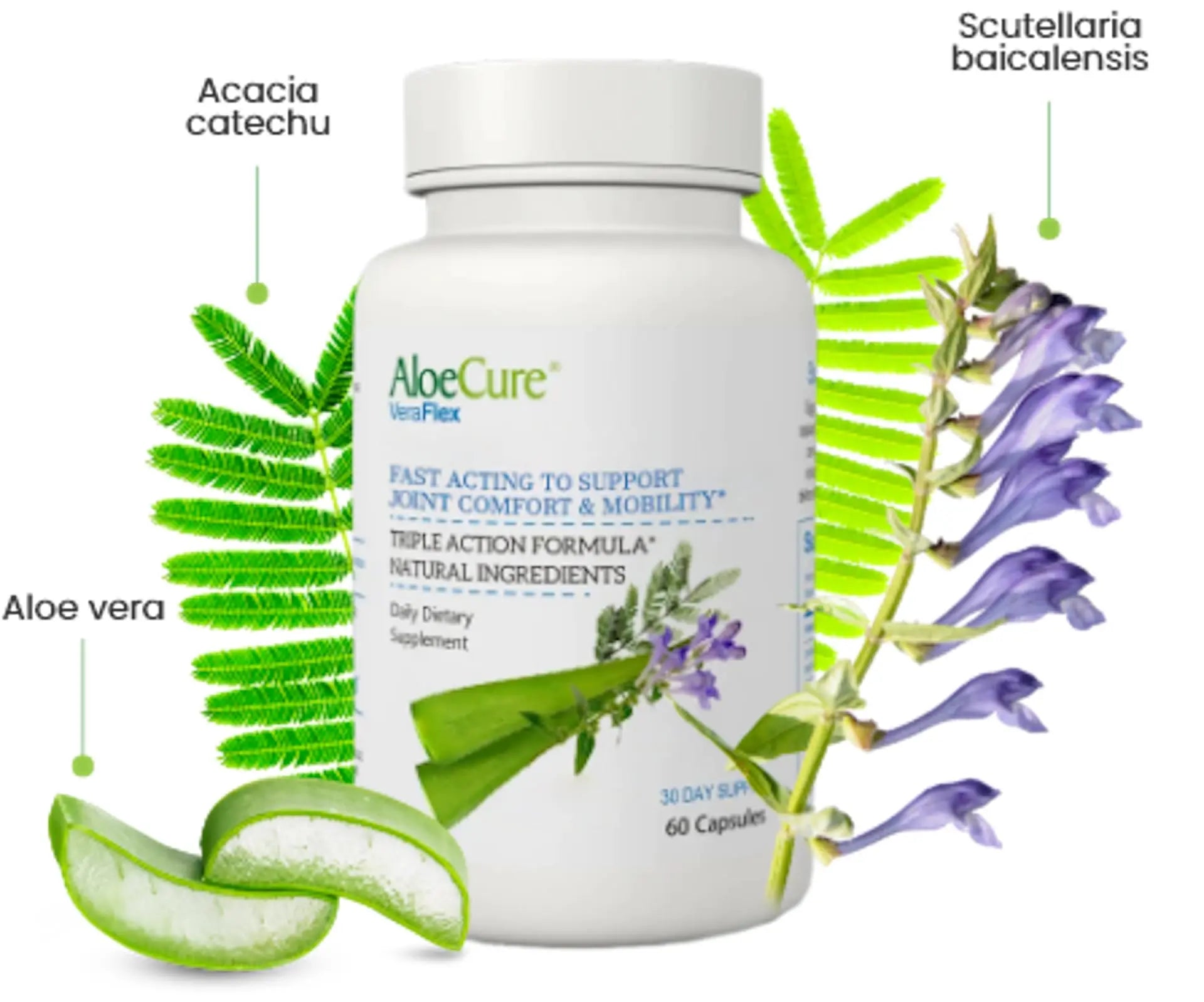 AloeCure VeraFlex Natural Joint Support Supplement with USDA Organic Aloe Vera AloeCure Au supplements
