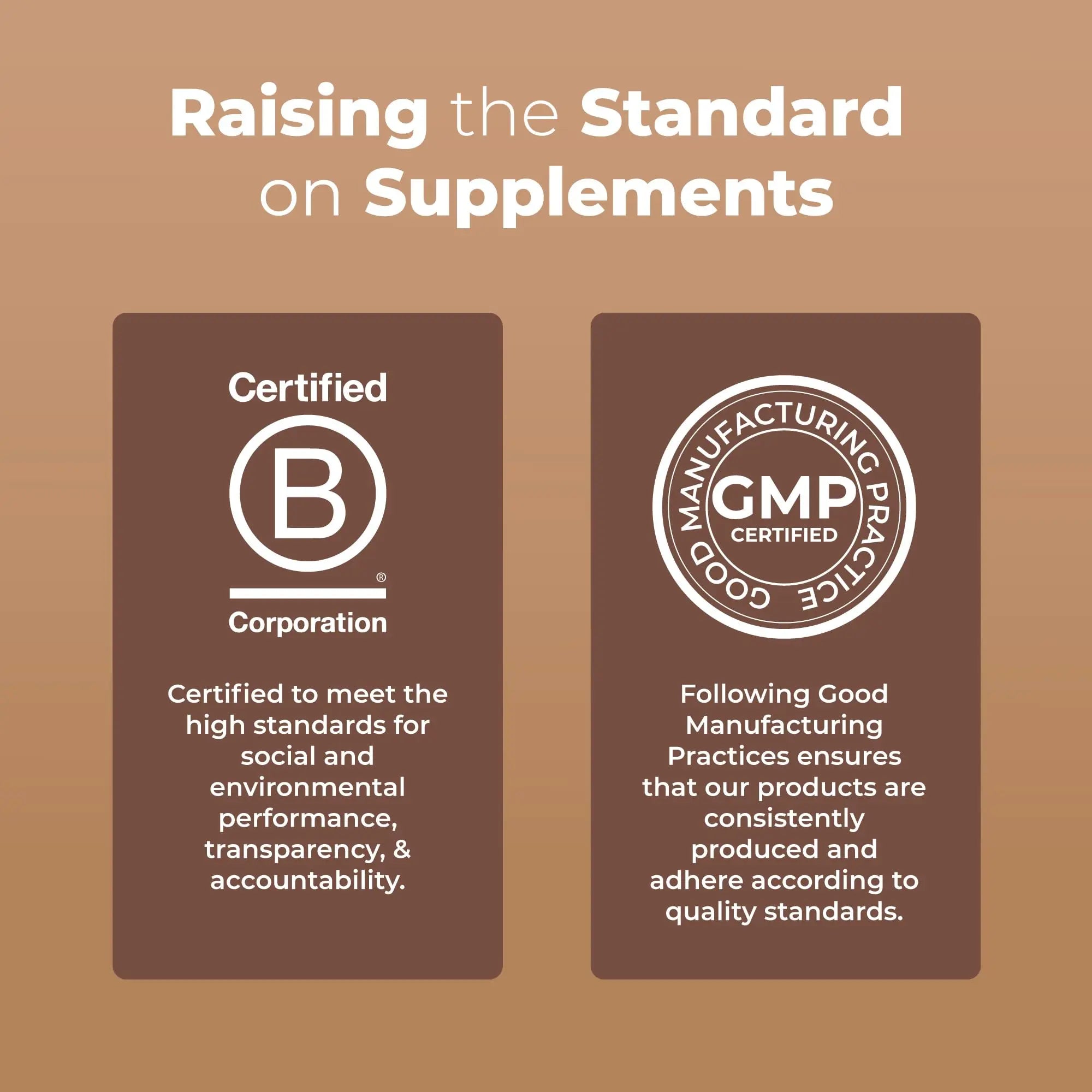 MaryRuth's Mushroom Complex | Lion's Mane | Turkey Tail | Reishi Mushroom | Shiitake Mushrooms | Alcohol Free | Mushroom Blend | Organic | Non-GMO | Vegan | 30 Servings MARYRUTH'S Au supplements