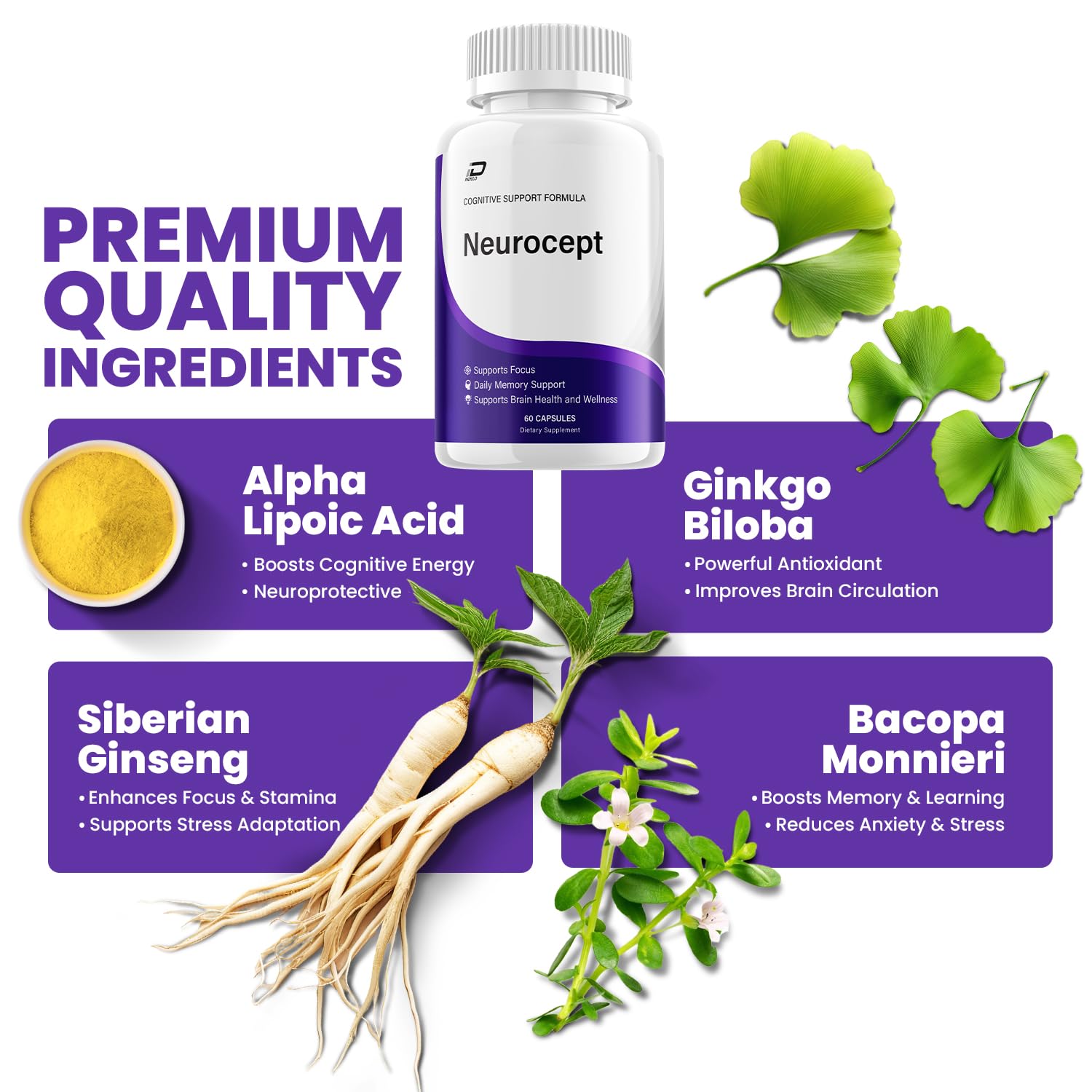 Neurocept Supplement Capsules – All Natural Maximum Strength Formula, Focus & Memory Support (2 Pack – 120 Capsules) Indelo Au supplements