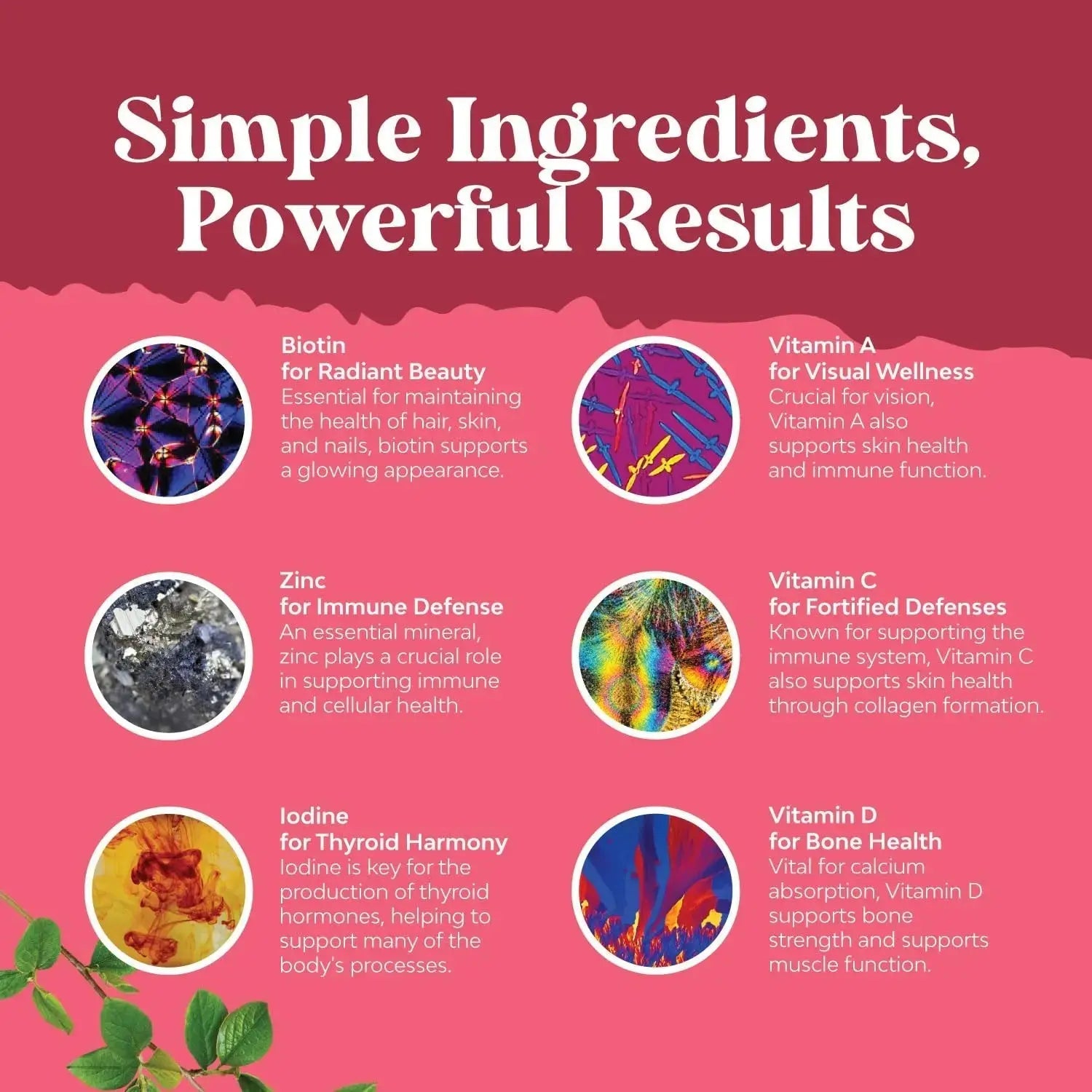 Bundle of Daily Mens Multivitamins Gummies with Zinc and Biotin for Energy and Immunity and Daily Multivitamin for Women Gummies - Gummy Vitamins for Health and Wellness Natures Craft Au supplements