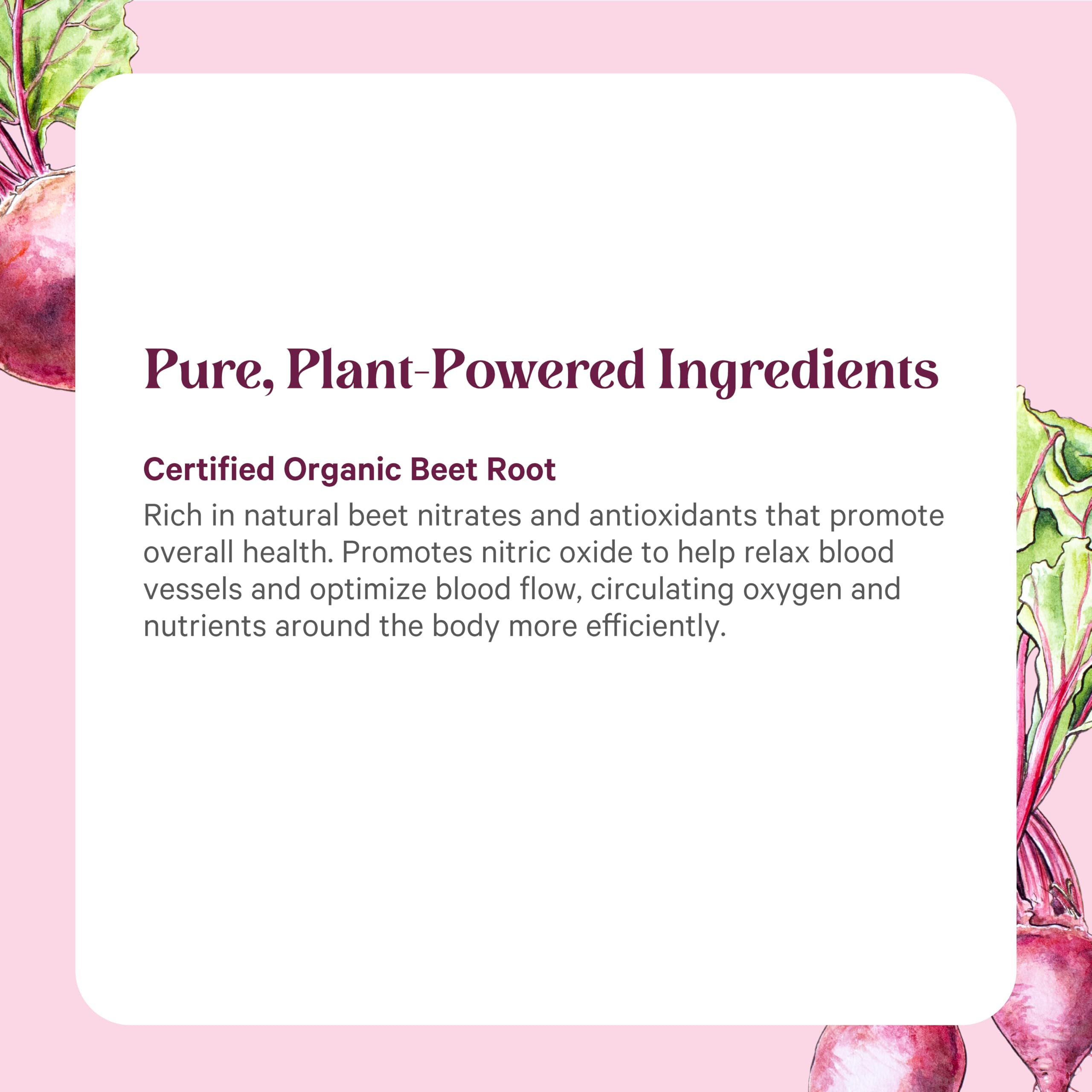PURE SYNERGY Organic Beet Juice Powder | Pre-Workout Supplement | Organic Beet Root Juice Powder | for Healthy Circulation, Exercise, and Detoxification (6.4 oz.) PURE SYNERGY Au supplements