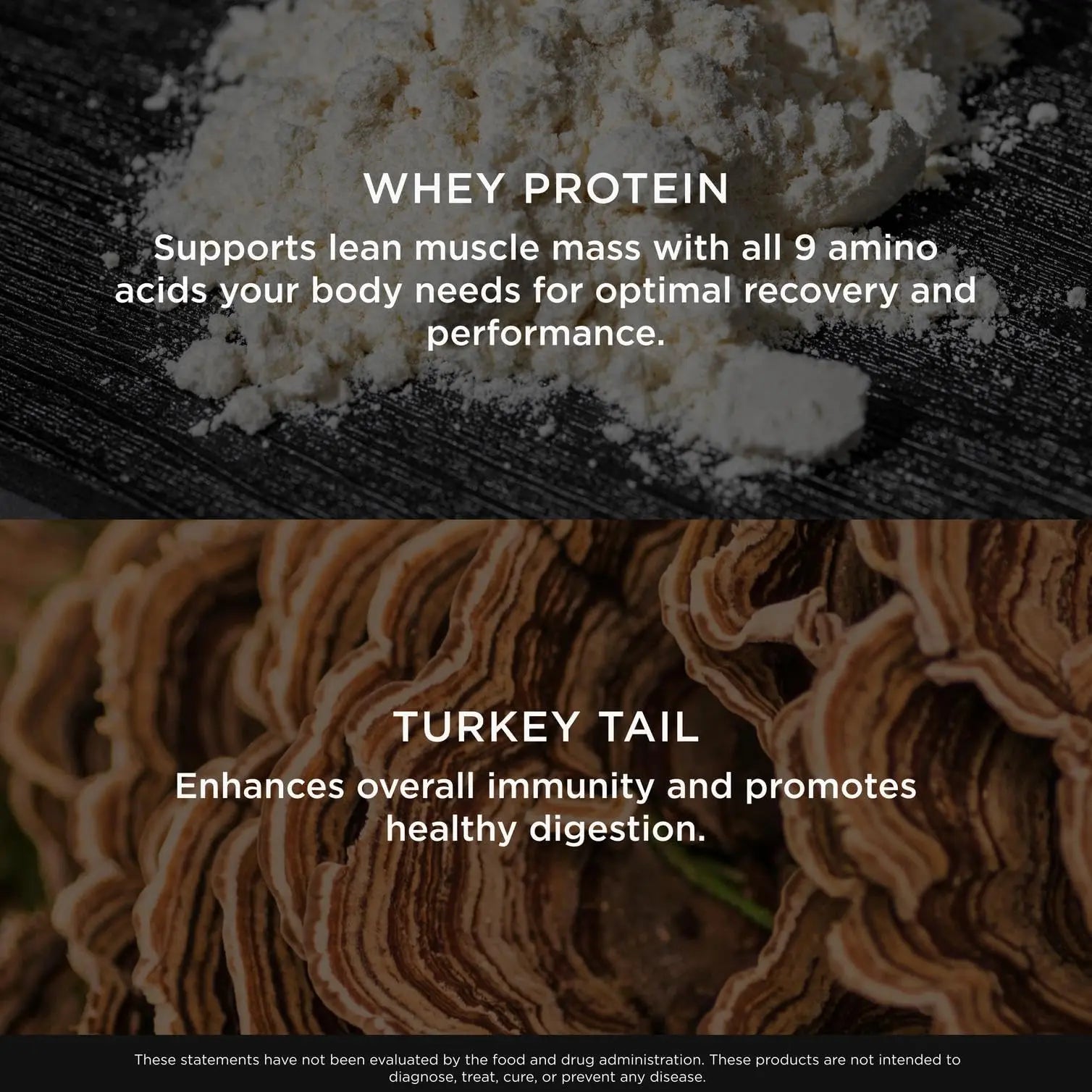 The Genius Brand Protein Powder - Chocolate + Adaptogenic Mushroom Blend - Plant-Based Protein with Reishi, Cordyceps & Lion’s Mane - Daily Muscle Recovery & Immune Support - 20 Servings The Genius Brand Au supplements