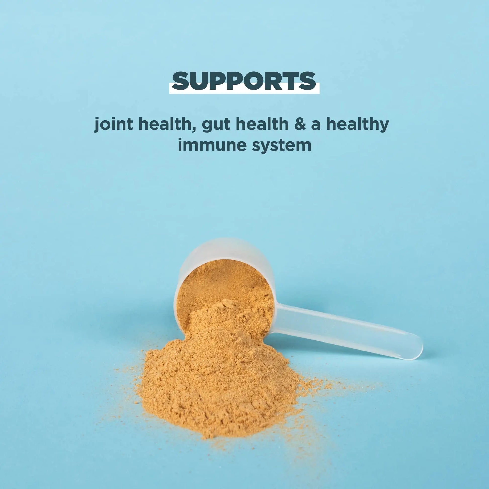 Ancient Nutrition Bone Broth Protein Powder, Salted Caramel, 19g Protein per Serving Ancient Nutrition Au supplements