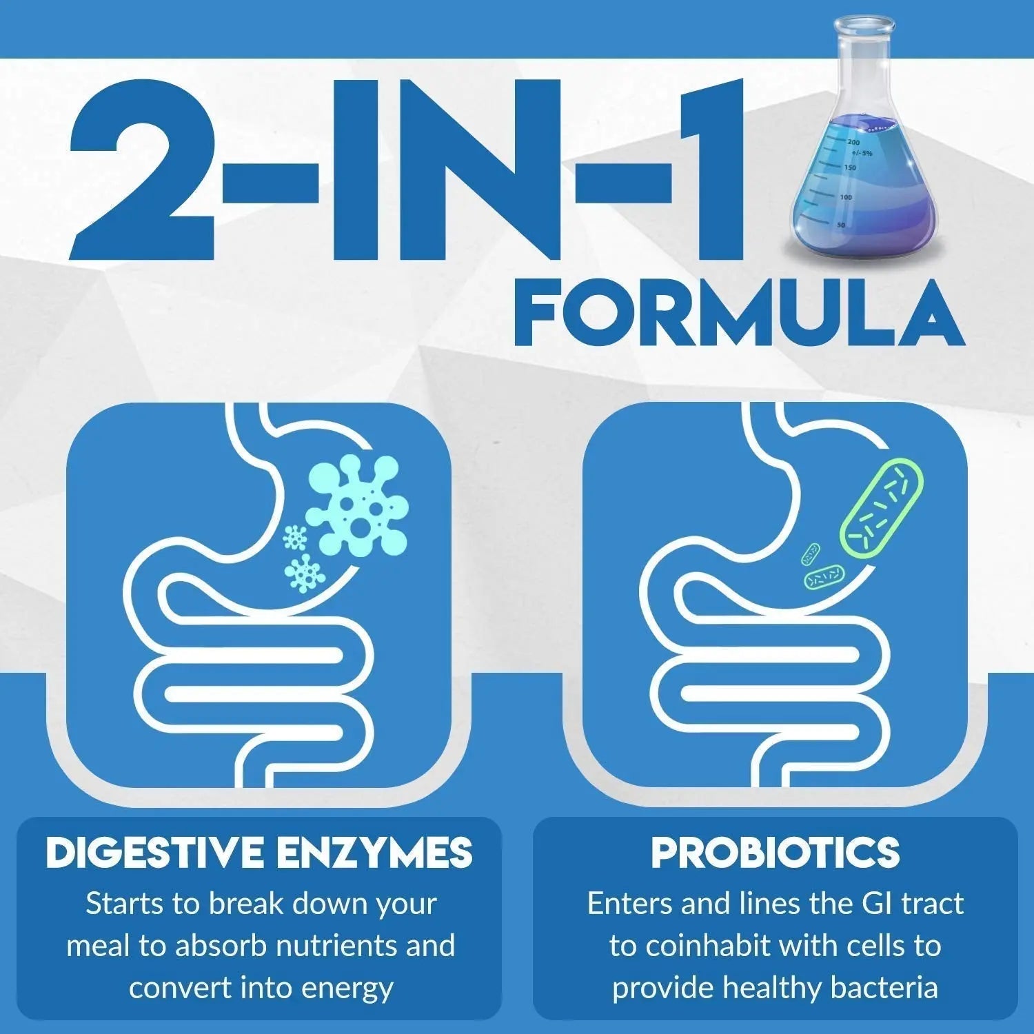 Instant Digest Complete 2-in-1 Probiotic Digestive Enzymes, 60 Capsules Instant Brands Au supplements