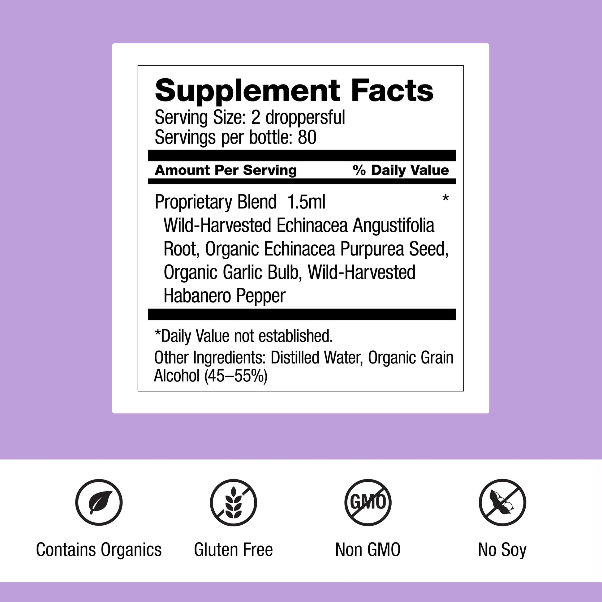 Dr. Schulze's Echinacea Plus | Echinacea Root and Seed | All Organic Extract | Gluten-Free & Non-GMO for Immune System Support | 4 oz Dr. Schulze's Au supplements