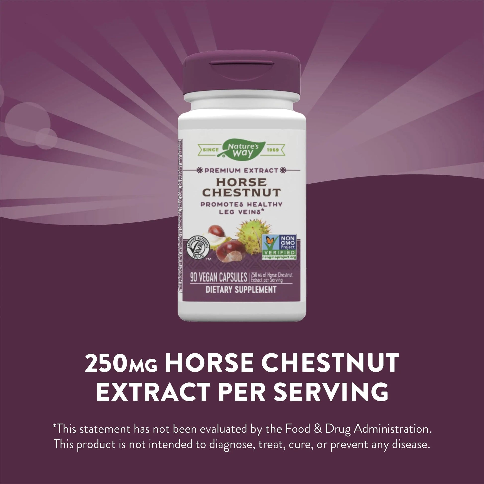 Nature's Way Standardized Horse Chestnut, Premium Extract for Healthy Veins and Blood Nature's Way Au supplements