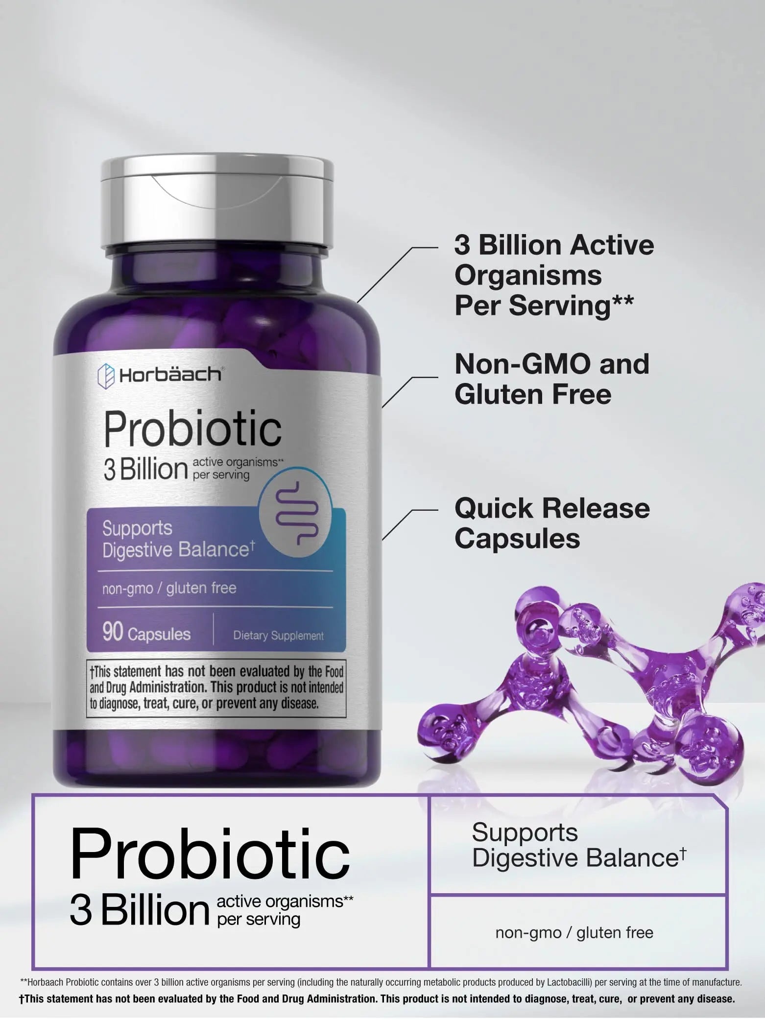 Probiotic for Women & Men's Digestive Health | 3 Billion CFU | 90 Capsules | Non-GMO Horbäach Au supplements