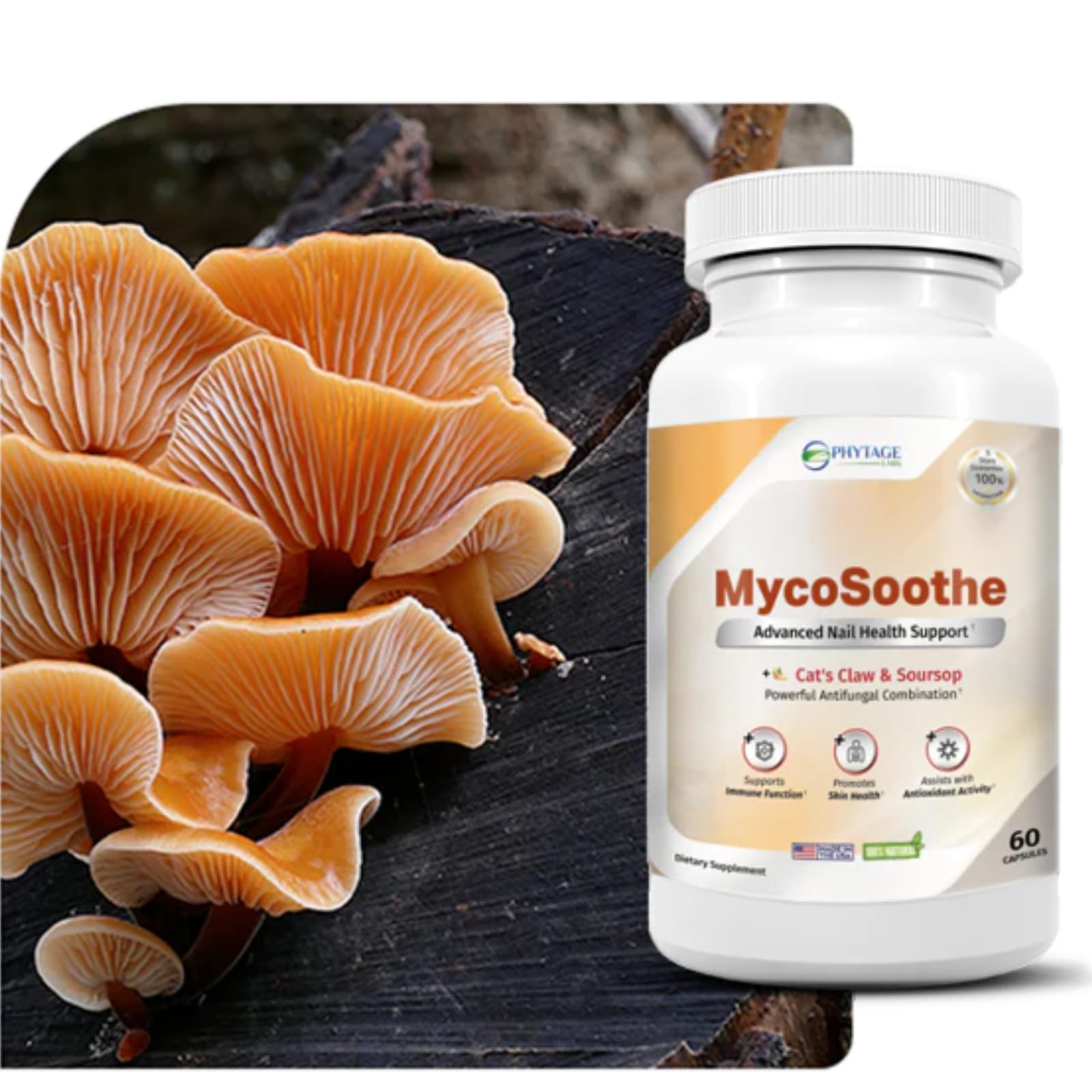 Phytage Labs MycoSoothe Advanced Hair, Skin, Nail & Immunity Support Formula - 60 Capsules Phytage Labs Au supplements