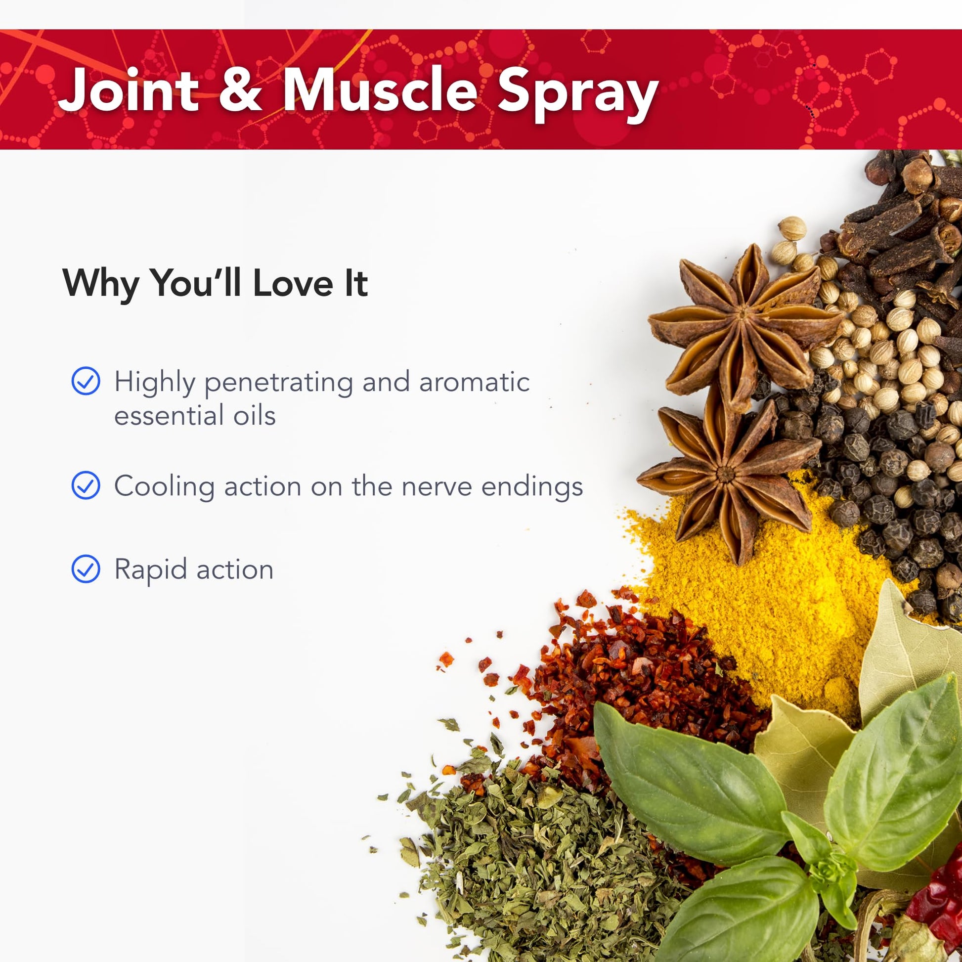 Physician's Strength PainMist - 1 fl oz - Healthy Inflammation Support - Non-GMO Physician's Strength Au supplements
