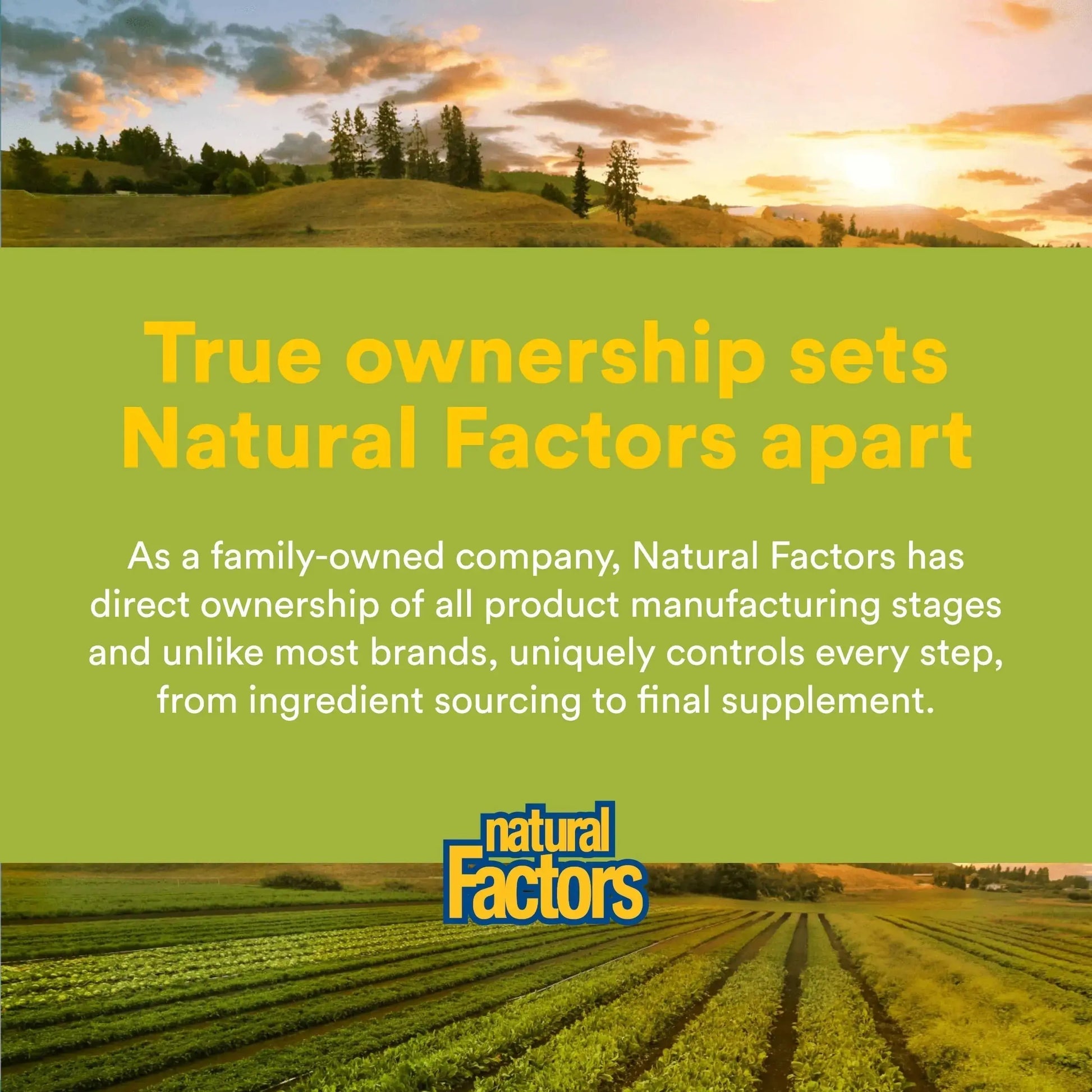 Natural Factors Whole Earth & Sea Men's 50+ Multivitamin & Mineral - Daily Nutritional Support Multivitamin Natural Factors Au supplements