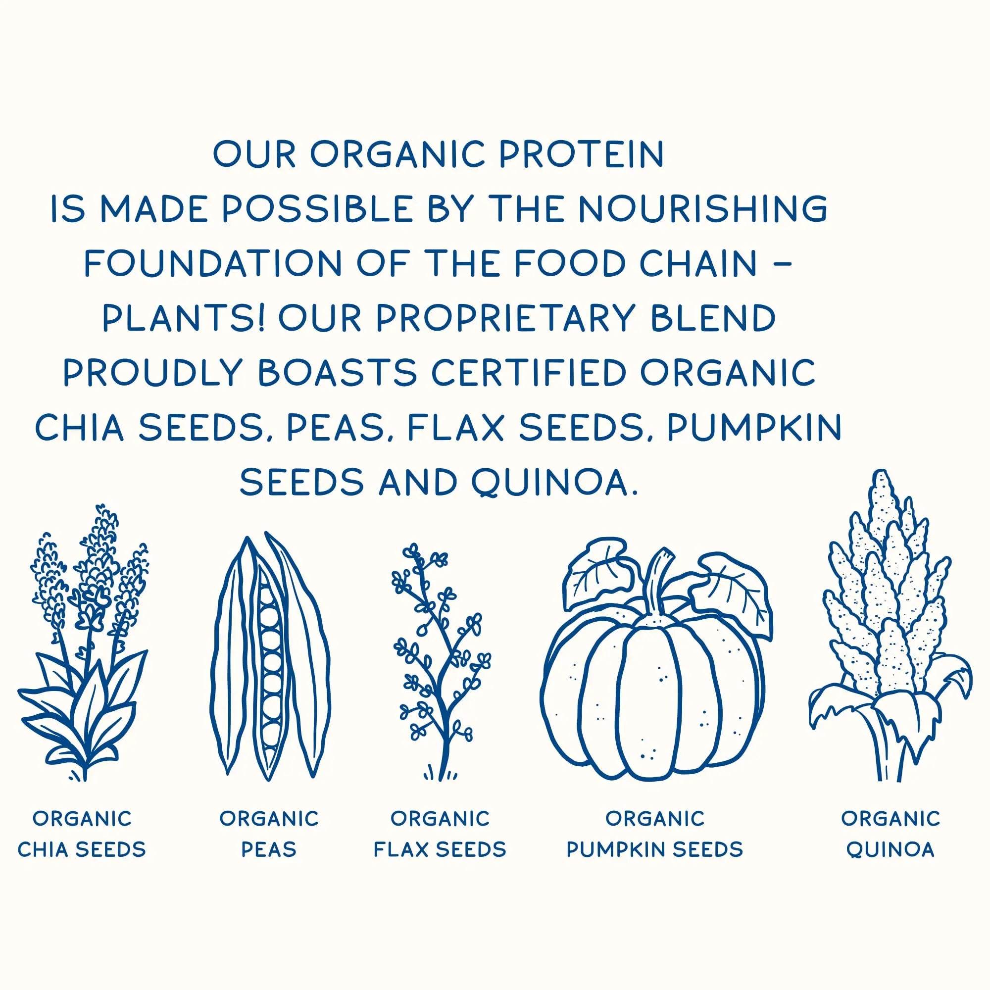 KOS Plant Based Protein Powder, Blueberry Muffin - Organic Pea Protein Superfood KOS Au supplements