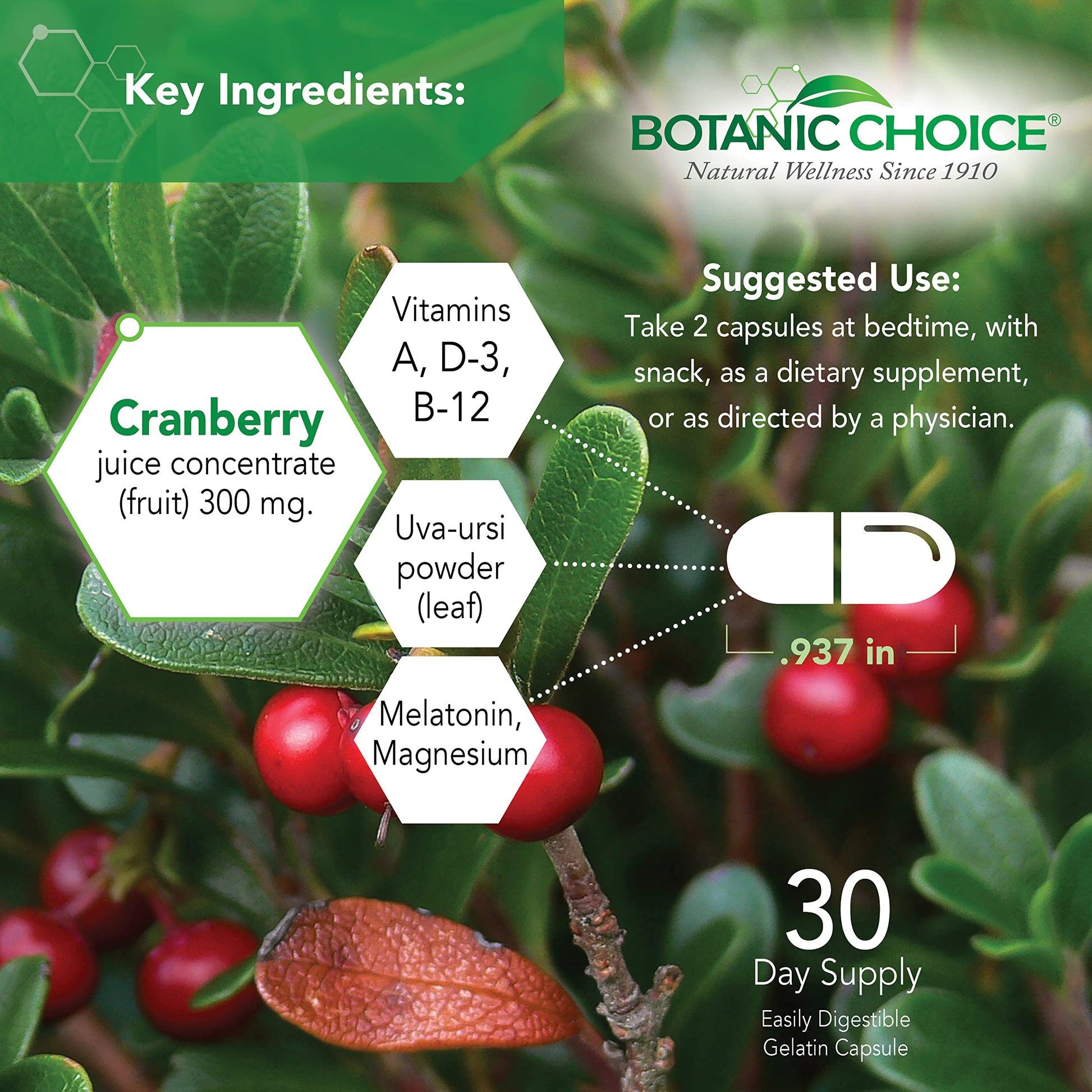 Botanic Choice Pro-Advanced Urinary Formula-Blend for Urinary Tract Health Support - Magnesium Cranberry Uva Ursi Damiana - 60 Capsules Botanic Choice Au supplements