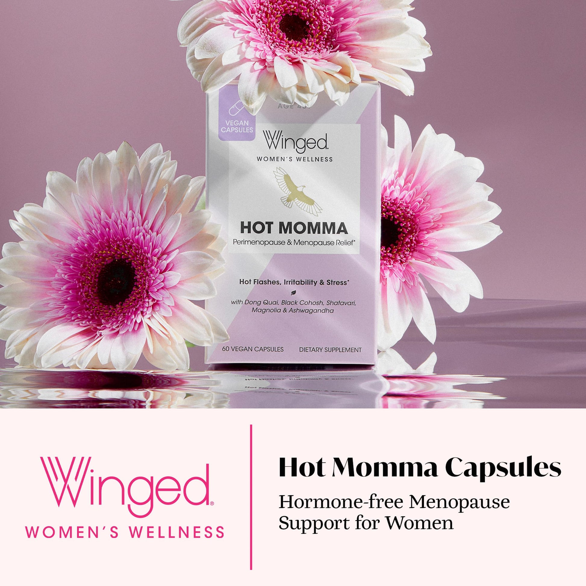 Winged Wellness Hot Momma Menopause Supplements for Women - Hormone-Free Menopause Relief Support for Hot Flashes & Night Sweats with Chaste Tree Berry, Multivitamins & Shatavari - 60 Vegan Capsules Winged Wellness Au supplements