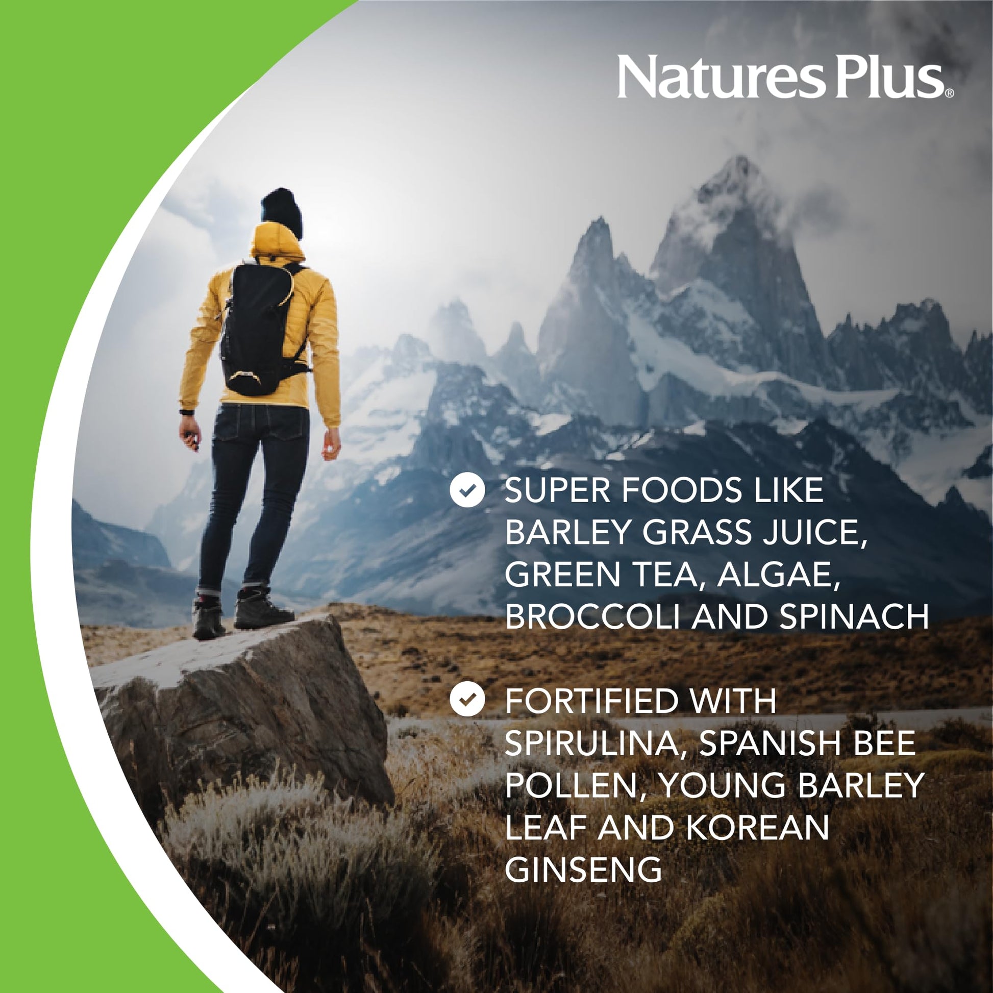 NaturesPlus FRUITEIN Revitalizing Green Foods Shake - 1.3 lbs - Plant-Based Protein (13g/Serving) - Supports Energy & Immune System - Vegetarian, Gluten Free & Non-GMO - 16 Servings NaturesPlus Au supplements