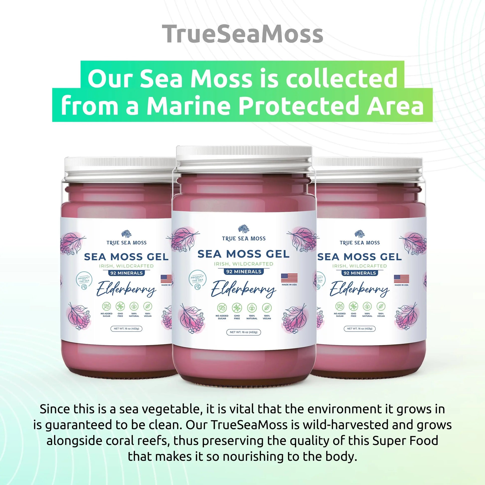 Irish Sea Moss Gel TrueSeaMoss Au supplements
