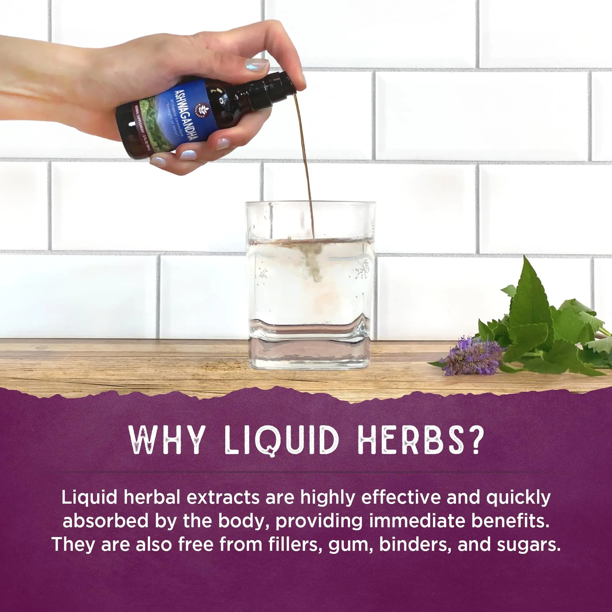 WishGarden Herbs Urinary Strength, Liquid Herbal Tincture, Cranberry, Uva Ursi & Usnea, Supports Urinary Tract Health, Eases Discomfort, Promotes Microbial Balance, 2oz WishGarden Au supplements