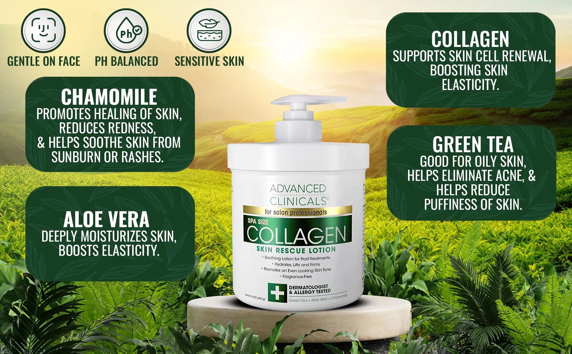 Advanced Clinicals Retinol Body Lotion + Collagen Cream 2pc Body Skin Care Set Advanced Clinicals Au supplements