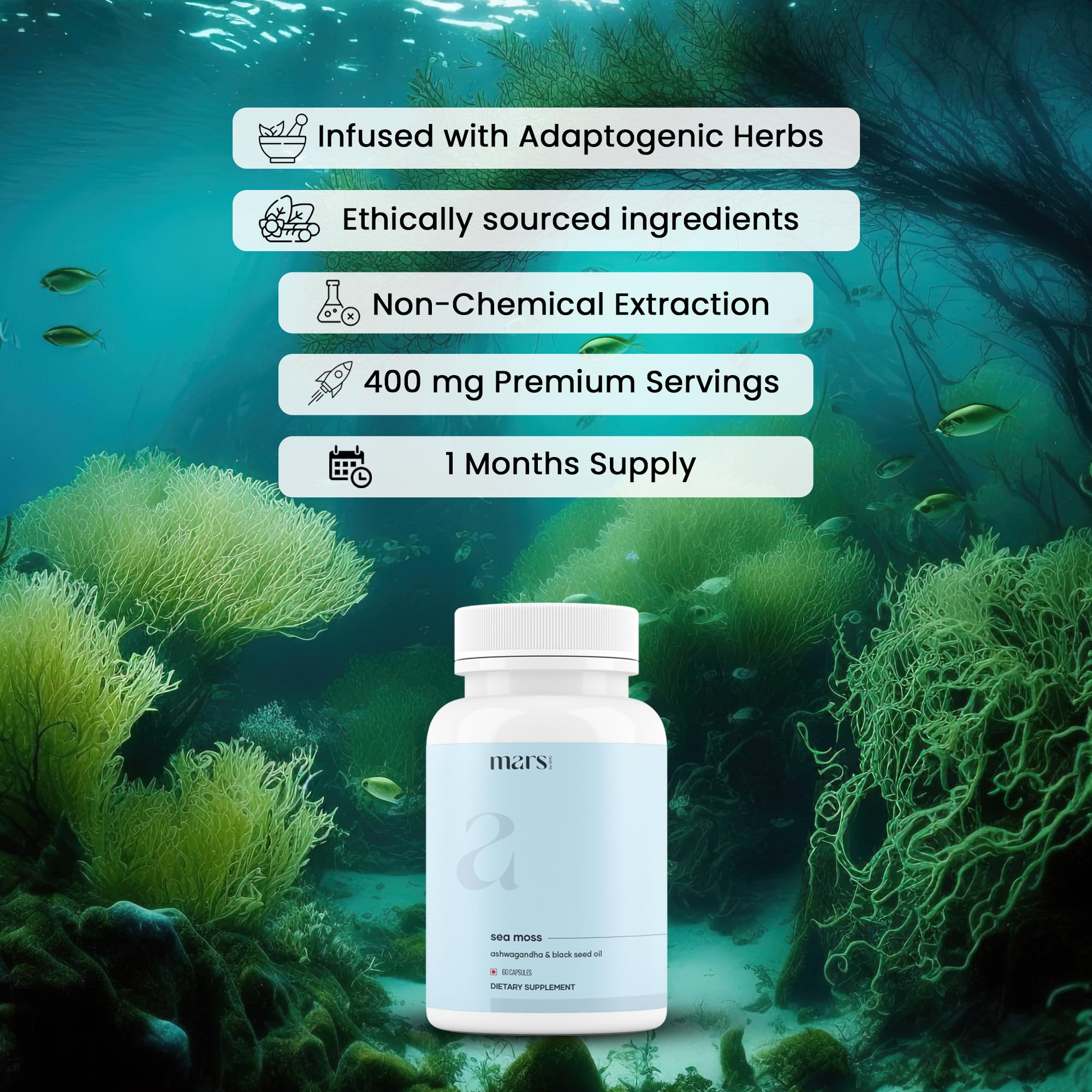 mars by GHC Mars Surge Natural Sea Moss Caps (60N) | Packed with 84 Minerals | Powered with Black Seed Oil | | Overall Well Being - Pack of 1 mars by GHC Au supplements