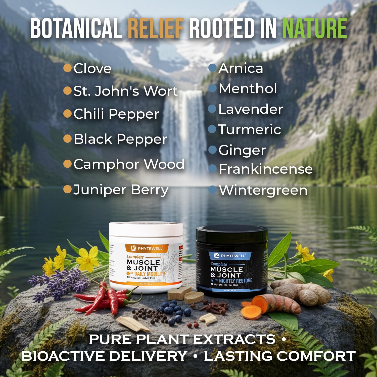PHYTEWELL Muscle & Joint Rub Balm - Day & Night Pain Relief for Back, Knee, & Shoulder - Crafted with Arnica, Clove & Black Pepper to Support Recovery & Relaxation – Premium Non-Greasy Texture PHYTEWELL Au supplements