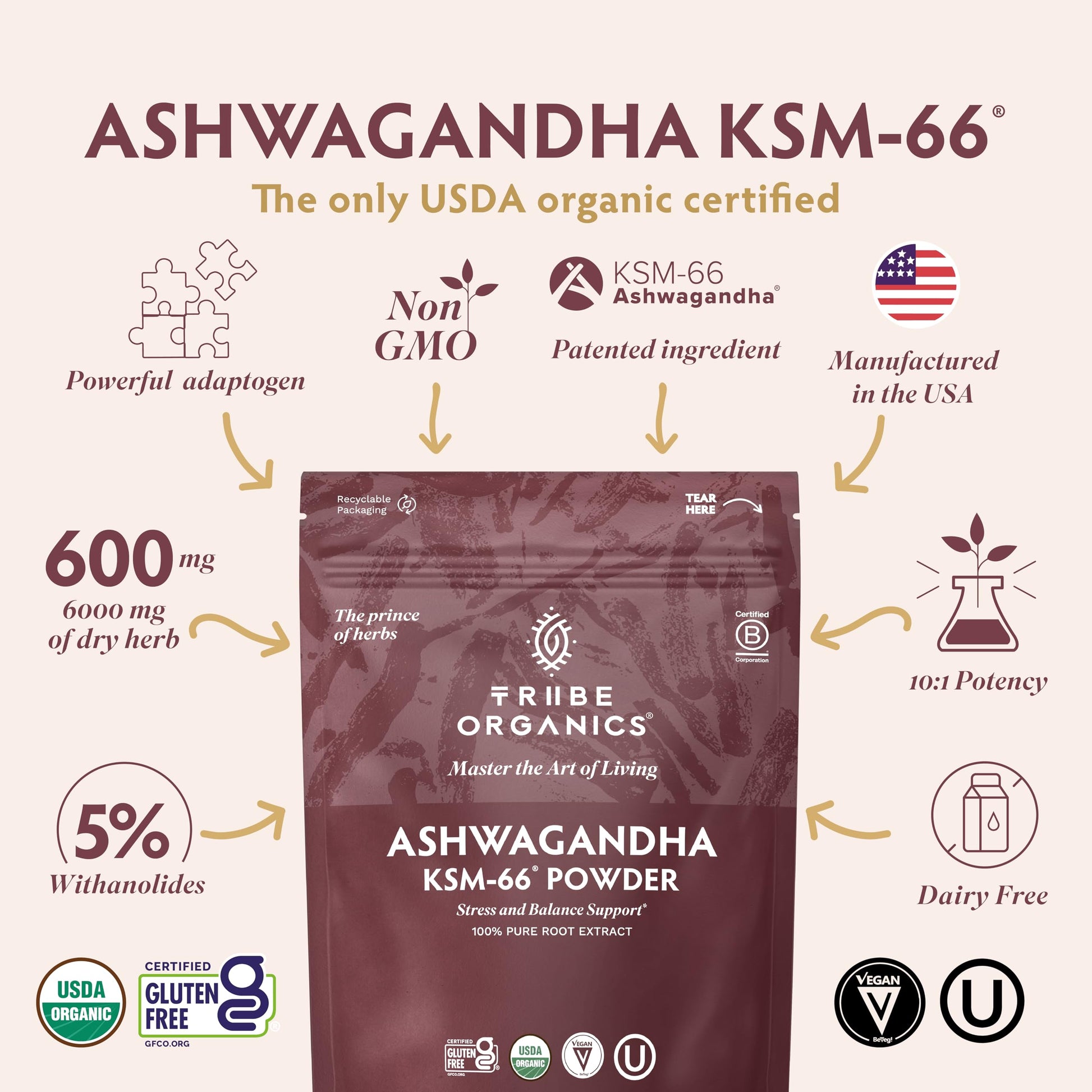 TRIBE ORGANICS KSM-66 Ashwagandha Root Extract Powder Ayurvedic Herb for Mood Support | Increase Energy | Strength - Organic | Natural | Gluten Free | Non GMO | Full-Spectrum - 100g Pouch TRIBE ORGANICS Au supplements