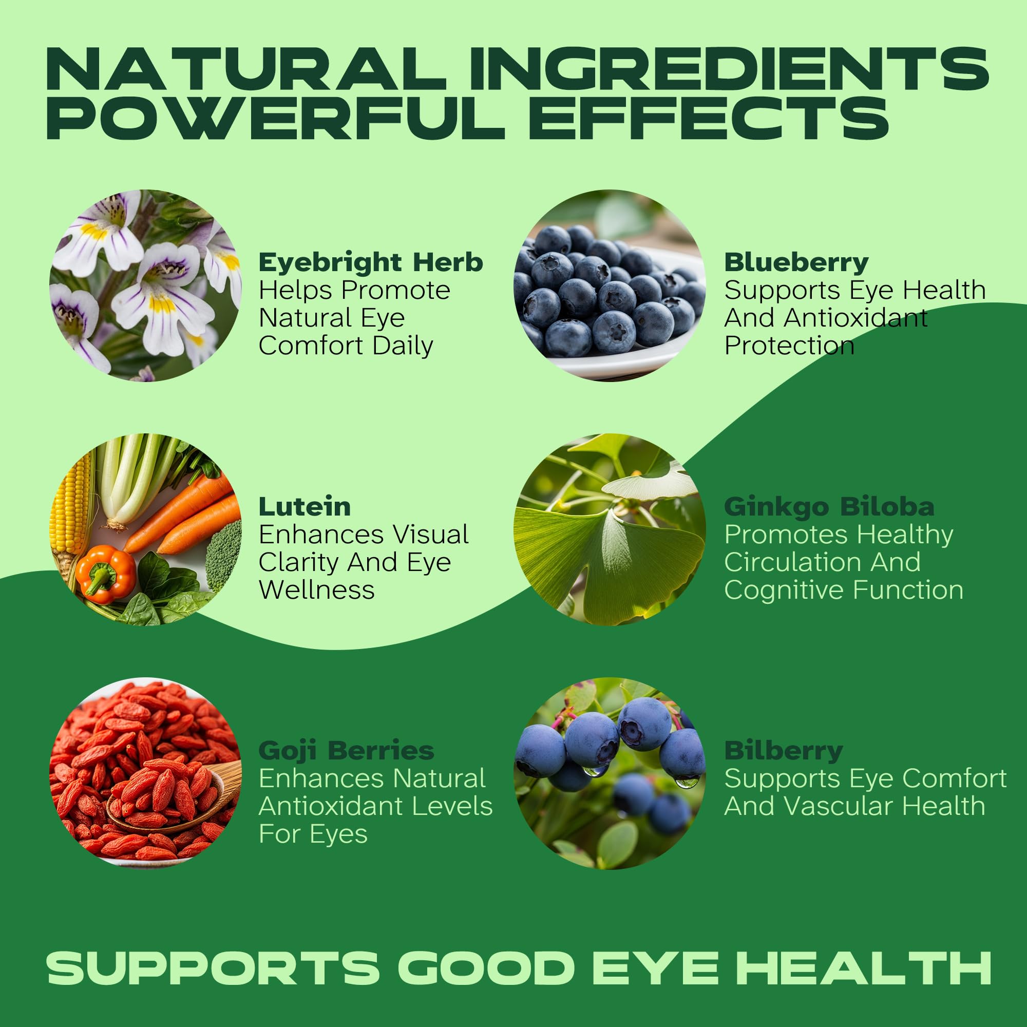Vitalumina Eyebright Herbal Liquid with Organic Euphrasia, Lutein, Bilberry, Blueberry & Goji – Plant-Based Vegan Supplement for Adults – 4 fl oz Vitalumina Au supplements