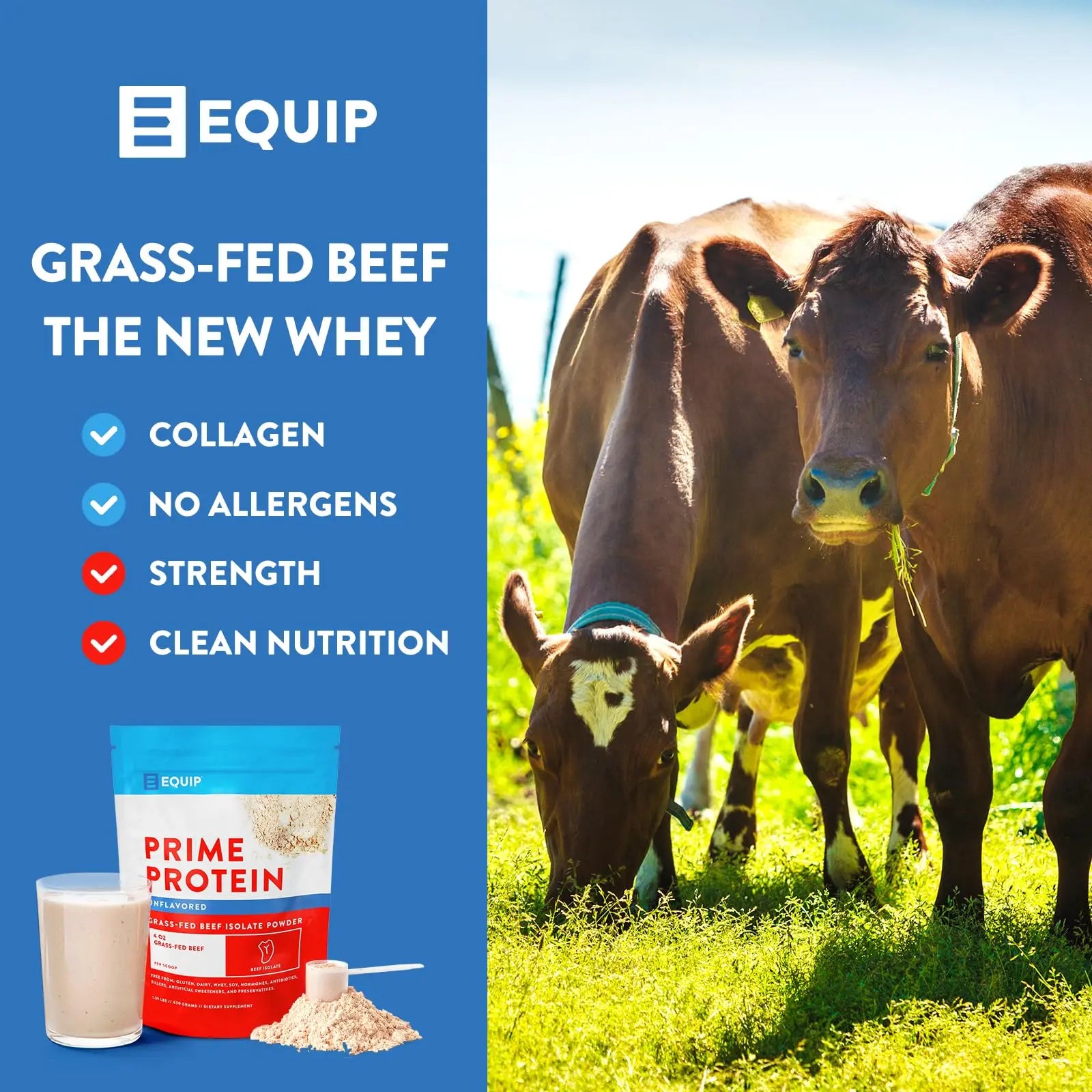 Equip Foods Prime Protein - Grass Fed Beef Protein Powder Isolate - Paleo and Keto Friendl Equip Au supplements