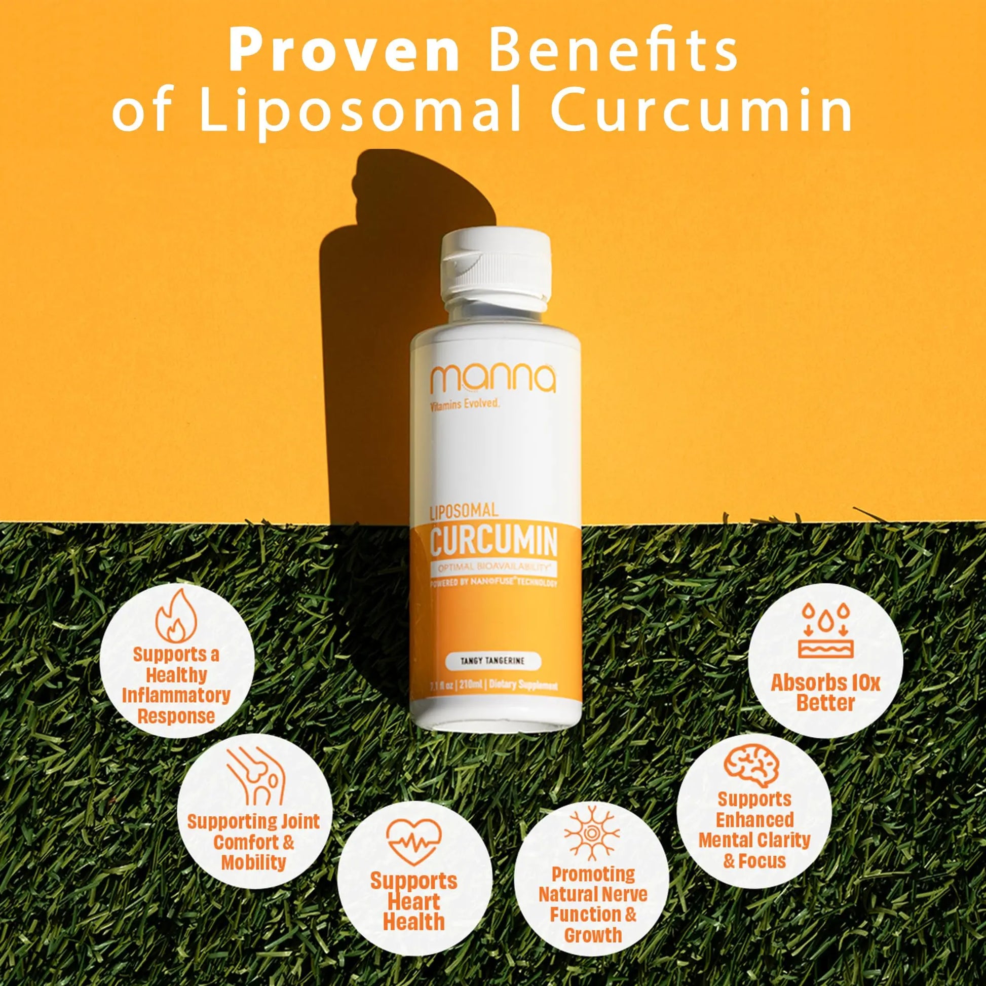 Manna Vitamins Evolved Liposomal Liquid Curcumin for Advanced Absorption Best Turmeric Supplement for Daily Joint & Immune Health Support - Vegan, Non-GMO, 95% Curcuminoids (1 Pack) Manna Vitamins Evolved Au supplements