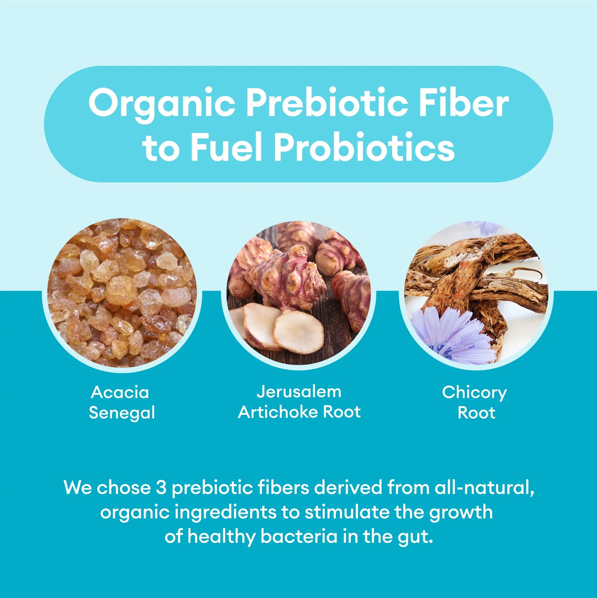 Physician's CHOICE Probiotics 60 Billion CFU - 10 Strains + Organic, 60ct Physician's CHOICE Au supplements
