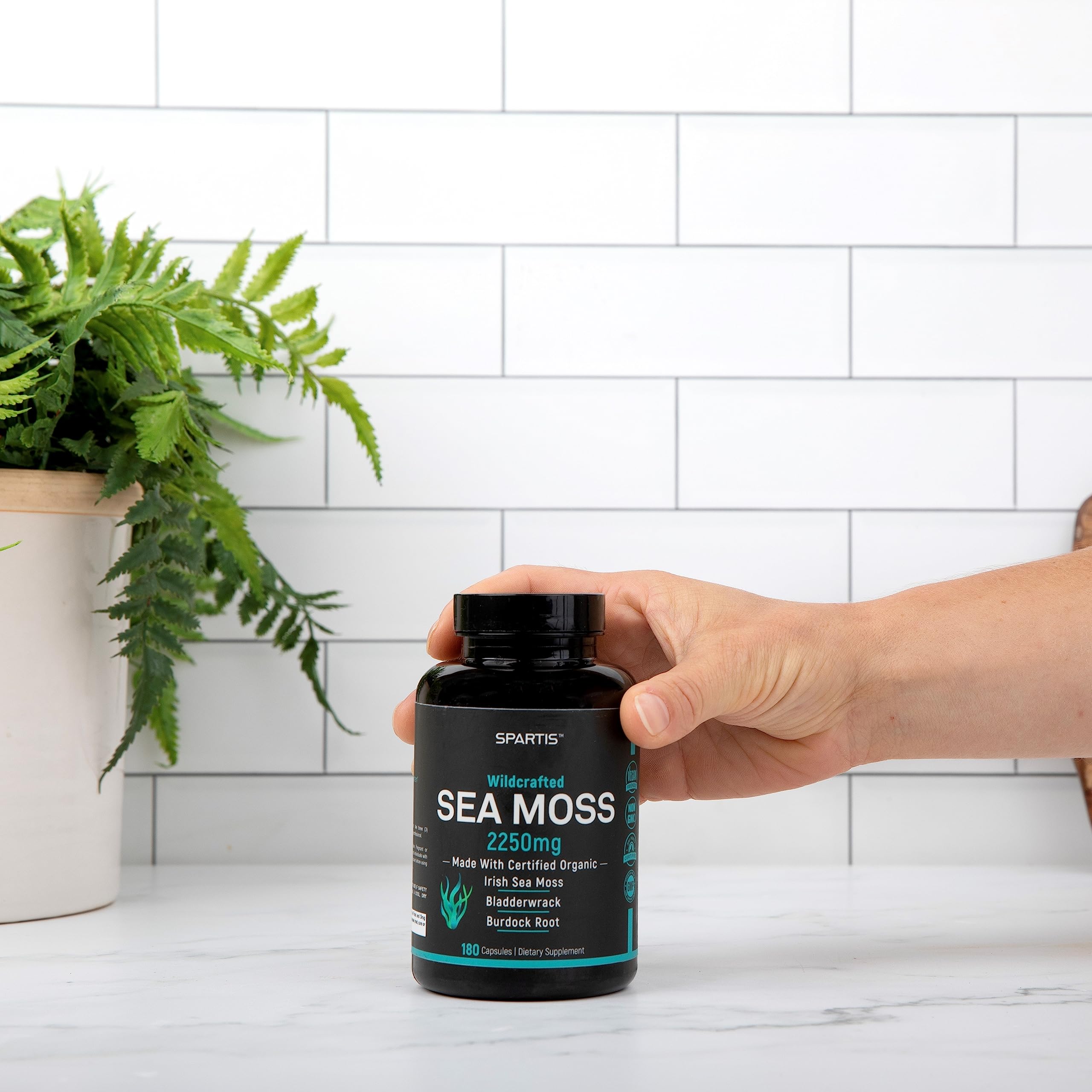 SPARTIS Certified Organic Sea Moss Capsules 2250mg Wildcrafted Irish Sea Moss Burdock Root Bladderwrack Supplement Raw Seamoss Pills & Powder (Pack of 1 at 180-Caps) SPARTIS Au supplements