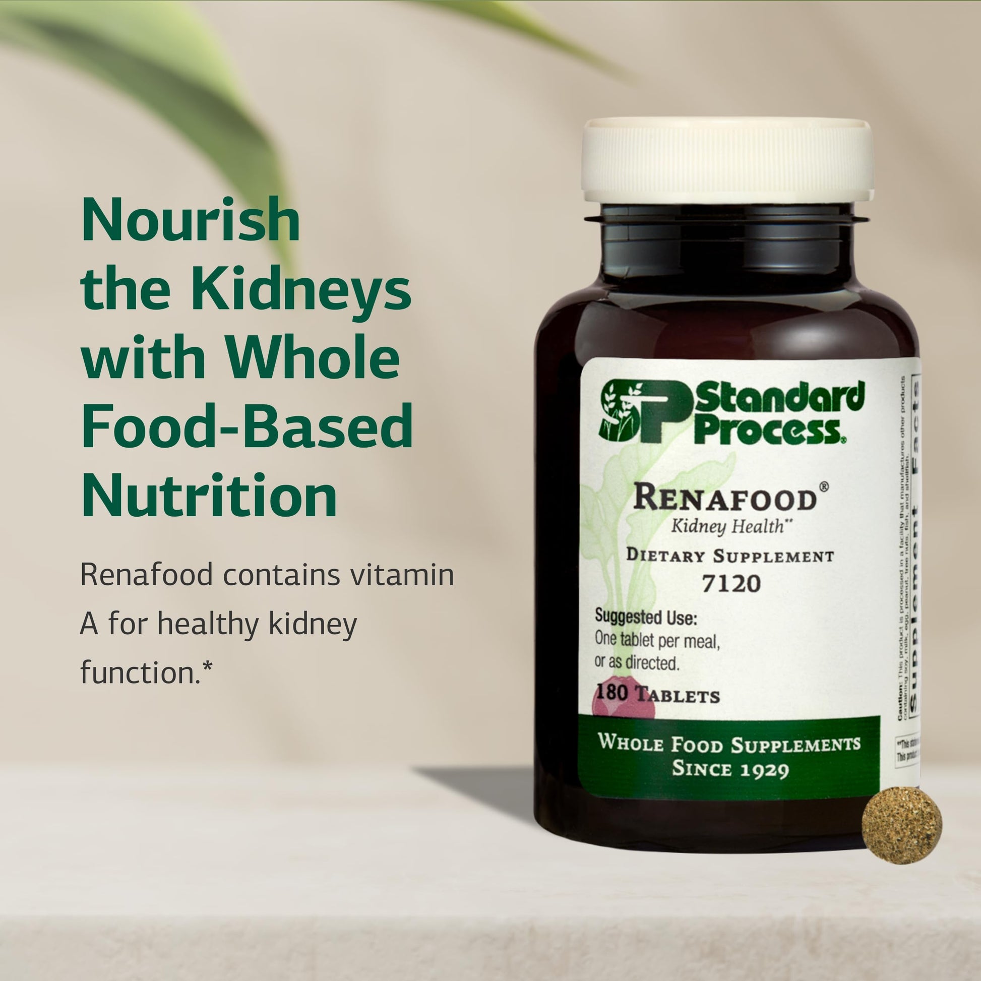 Standard Process Renafood - Supports Healthy Kidney Function & Antioxidant Activity - Contains Vitamins A - Non-Soy - 180 Tablets Standard Process Inc. Au supplements