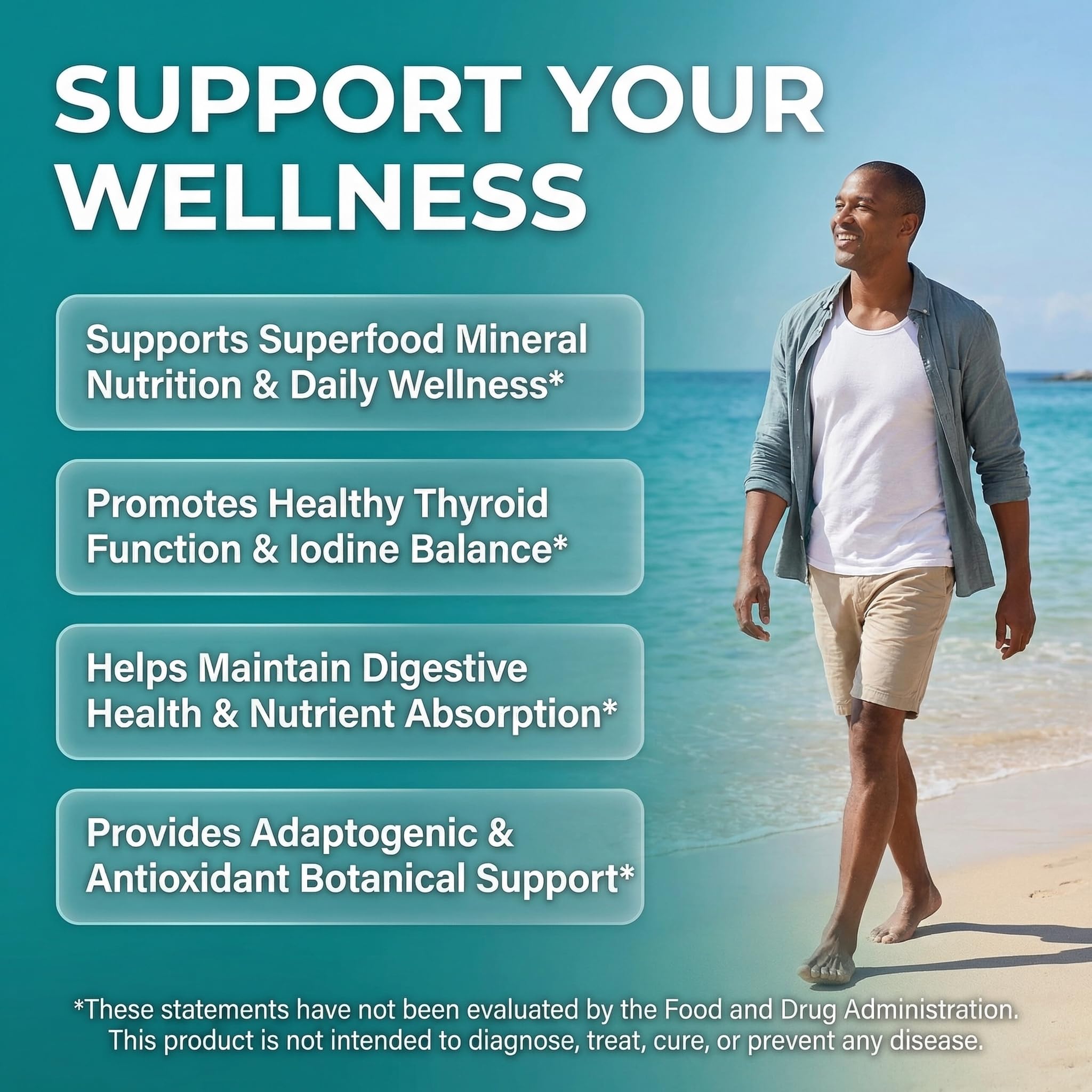 Clean Nutra Organic Sea Moss Capsules with Ashwagandha, Black Seed Oil, Burdock Root, Bladderwrack, Moringa, Chlorella, Spirulina, Turmeric, Elderberry, Amla – 90 Vegan Capsules – MiracleMin Clean Nutraceuticals Au supplements