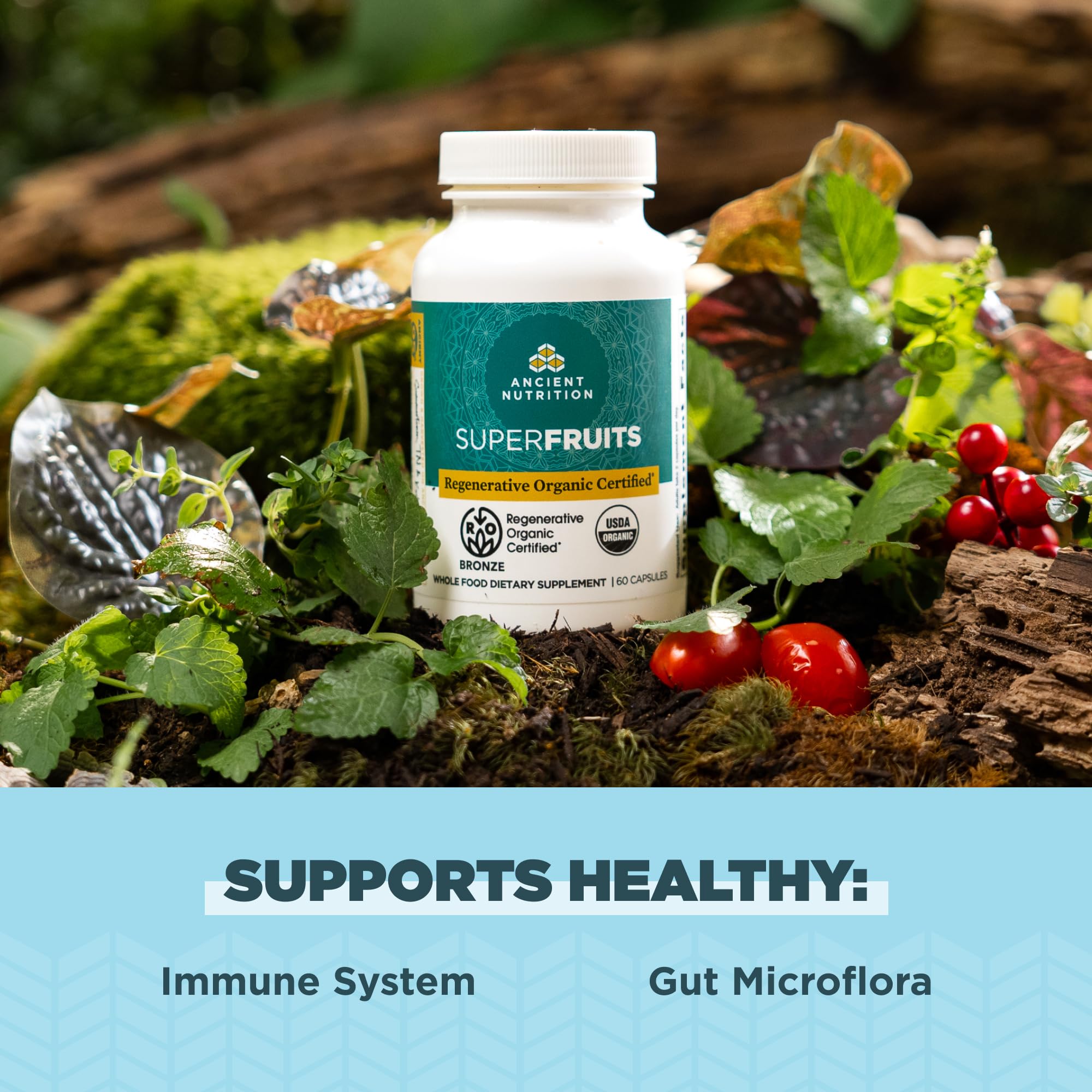 Ancient Nutrition Regenerative Organic Certified SuperFruits Capsules, Supports Gut and Immune System Health, Made with Probiotics, Dragonfruit, Mulberry, and Goji, 60 Count Ancient Nutrition Au supplements