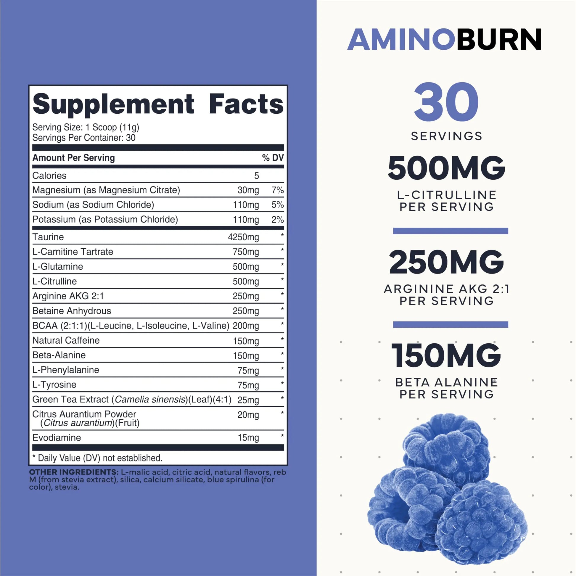 Type Zero Amino Burn - Vegan BCAA + Clean Pre Workout Powder with Arginine AKG, L-Citrulline & Beta Alanine - Amino Acid Clean Energy, Endurance & Hydration Supplement - Blue Raspberry, 30 Servings Type Zero Au supplements
