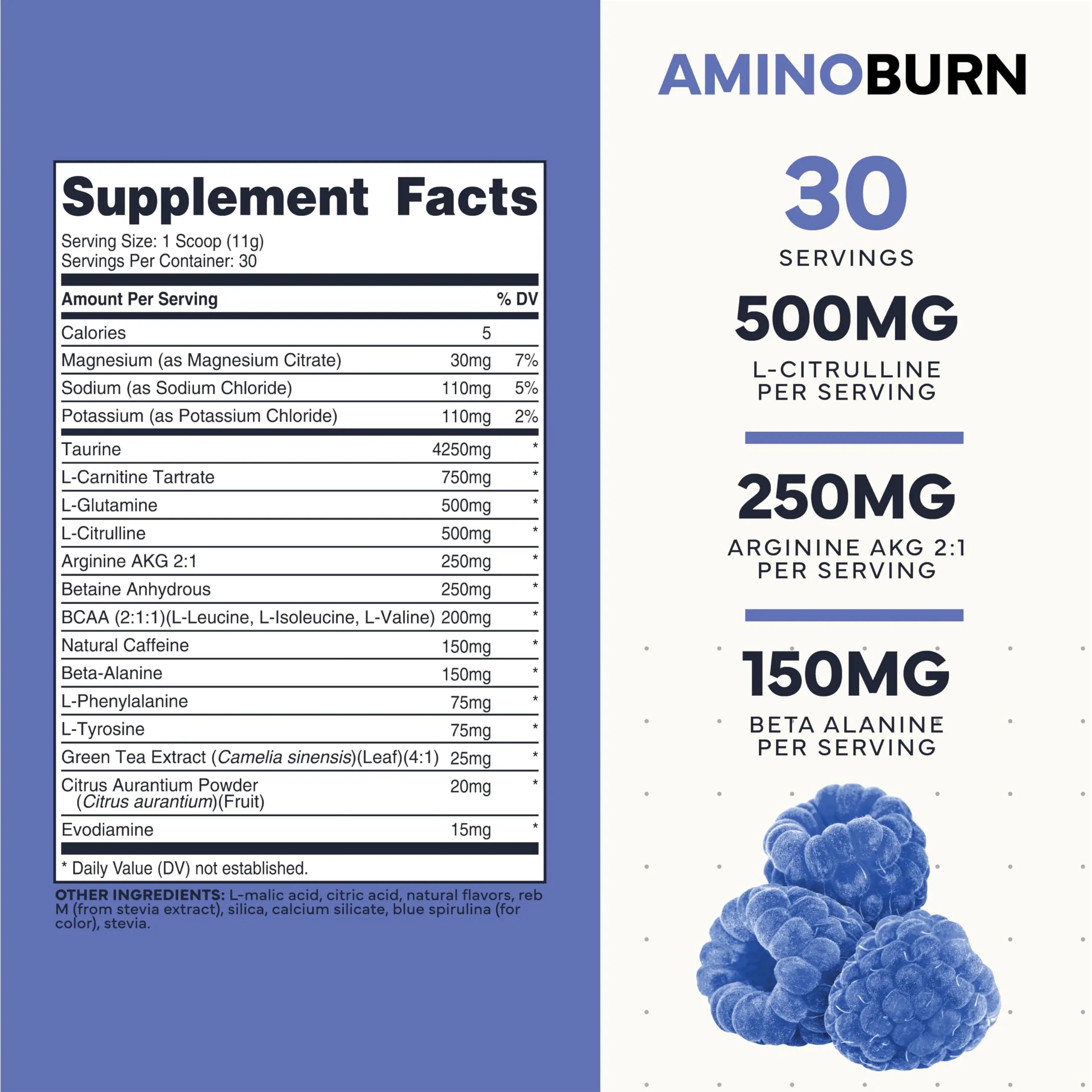 Type Zero Amino Burn - Vegan BCAA + Clean Pre Workout Powder with Arginine AKG, L-Citrulline & Beta Alanine - Amino Acid Clean Energy, Endurance & Hydration Supplement - Blue Raspberry, 30 Servings Type Zero Au supplements