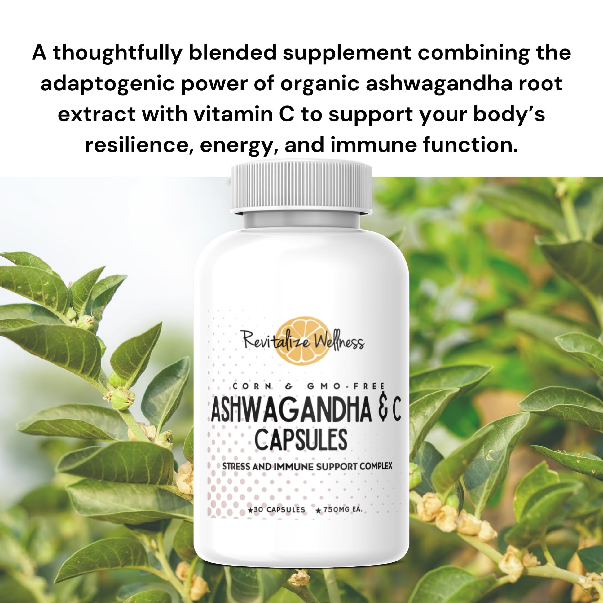 Revitalize Wellness Ashwagandha + Vitamin C Capsules | Stress and Immune Support Complex | with 550 mg Ashwagandha and 200 mg Vitamin C per Serving | 30 Servings Revitalize Wellness Au supplements