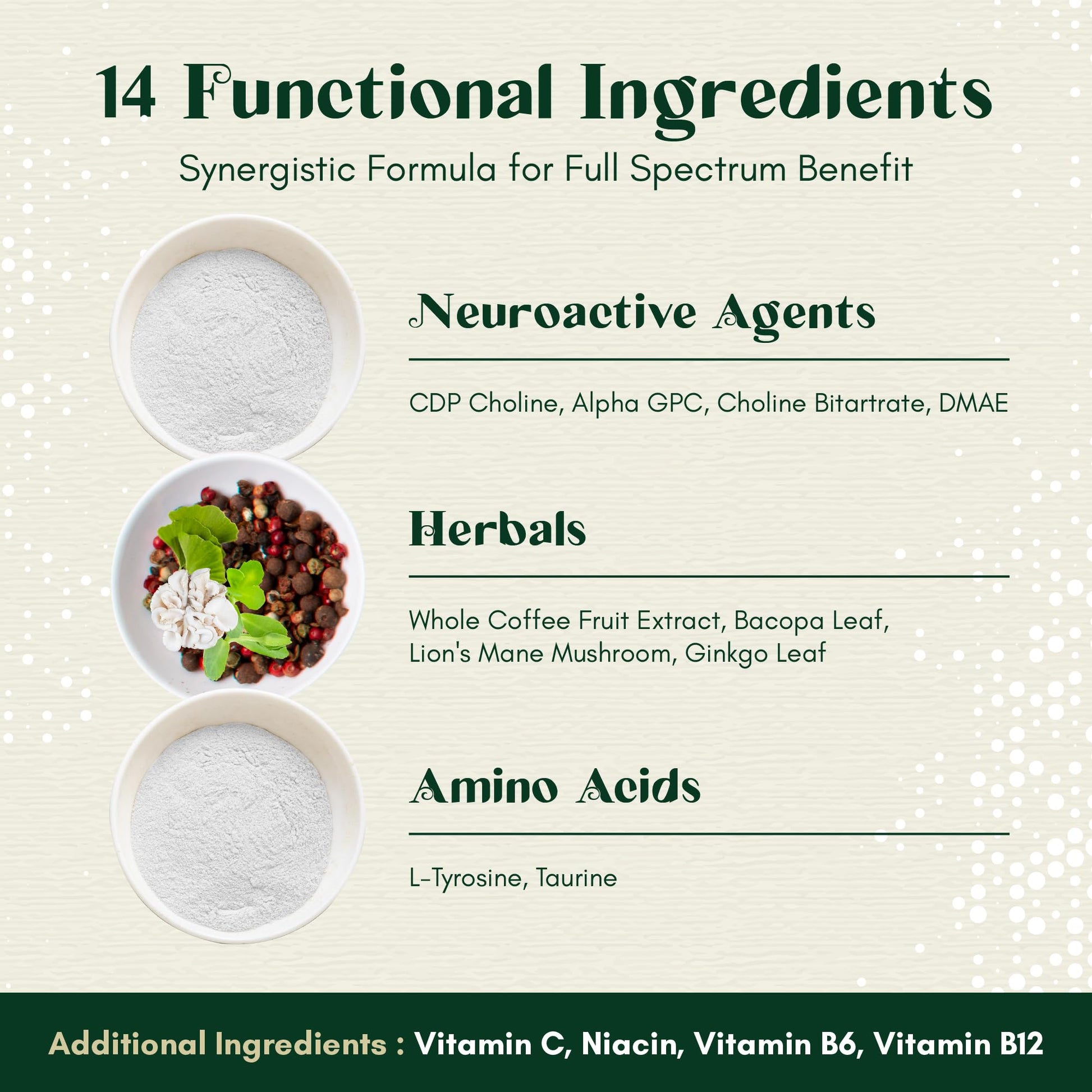 Rootful Mind Alpha Focus Nootropic - Memory and Focus Brain Booster Supplement with Choline, Citicoline, GPC, L-Tyrosine, Bacopa Monnieri, DMAE, Gingko Biloba, Lion's Mane, Niacinamide - 60 Capsules Rootful Mind Au supplements